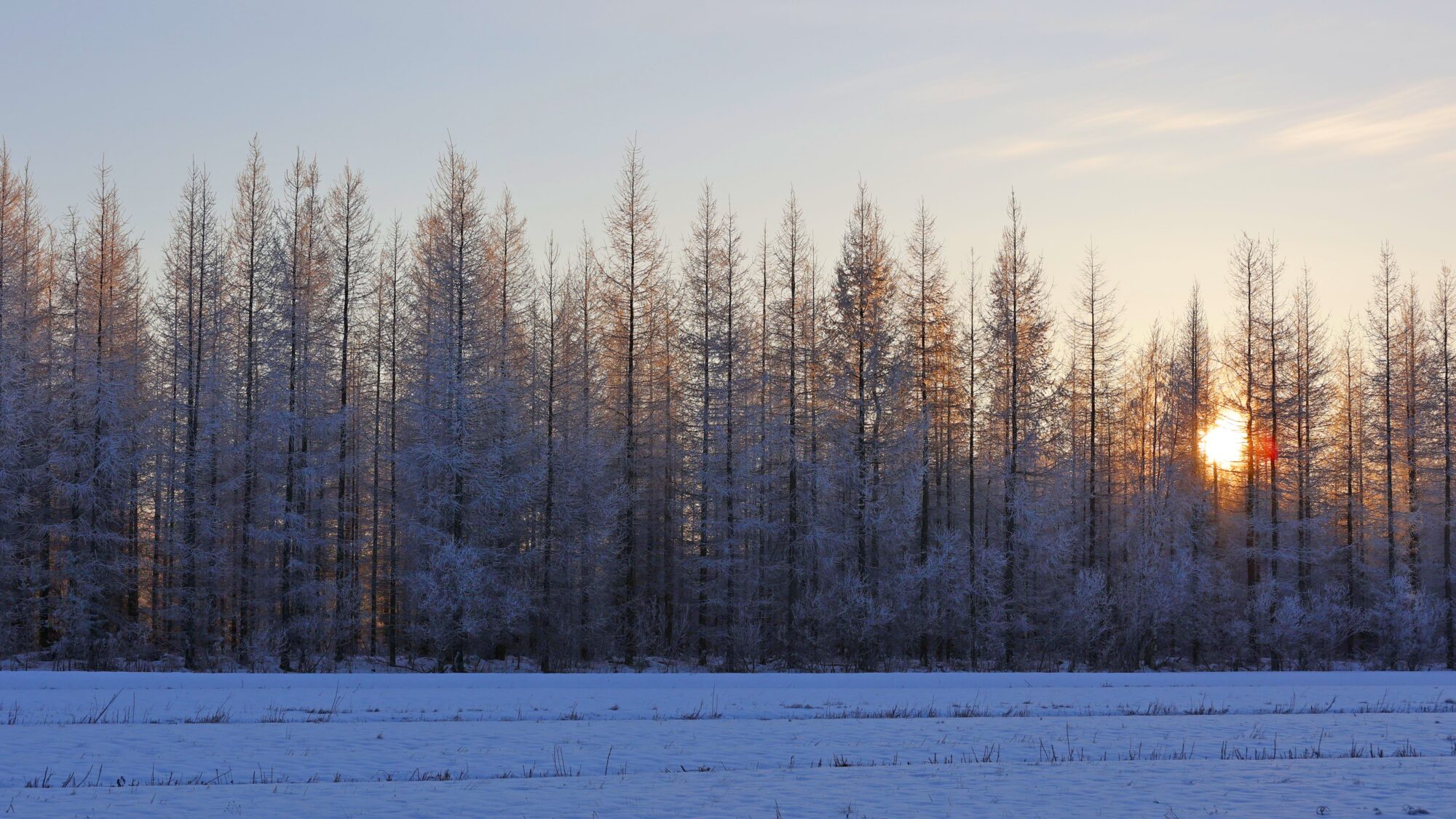 Valokuvaaja: TOMMI KUJALA
