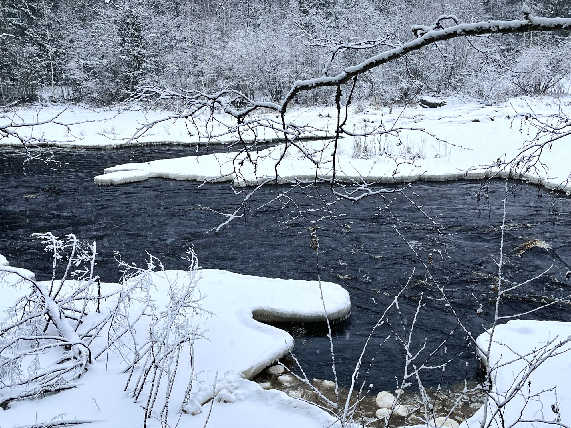 Valokuvaaja: Tuukka Pahtamaa