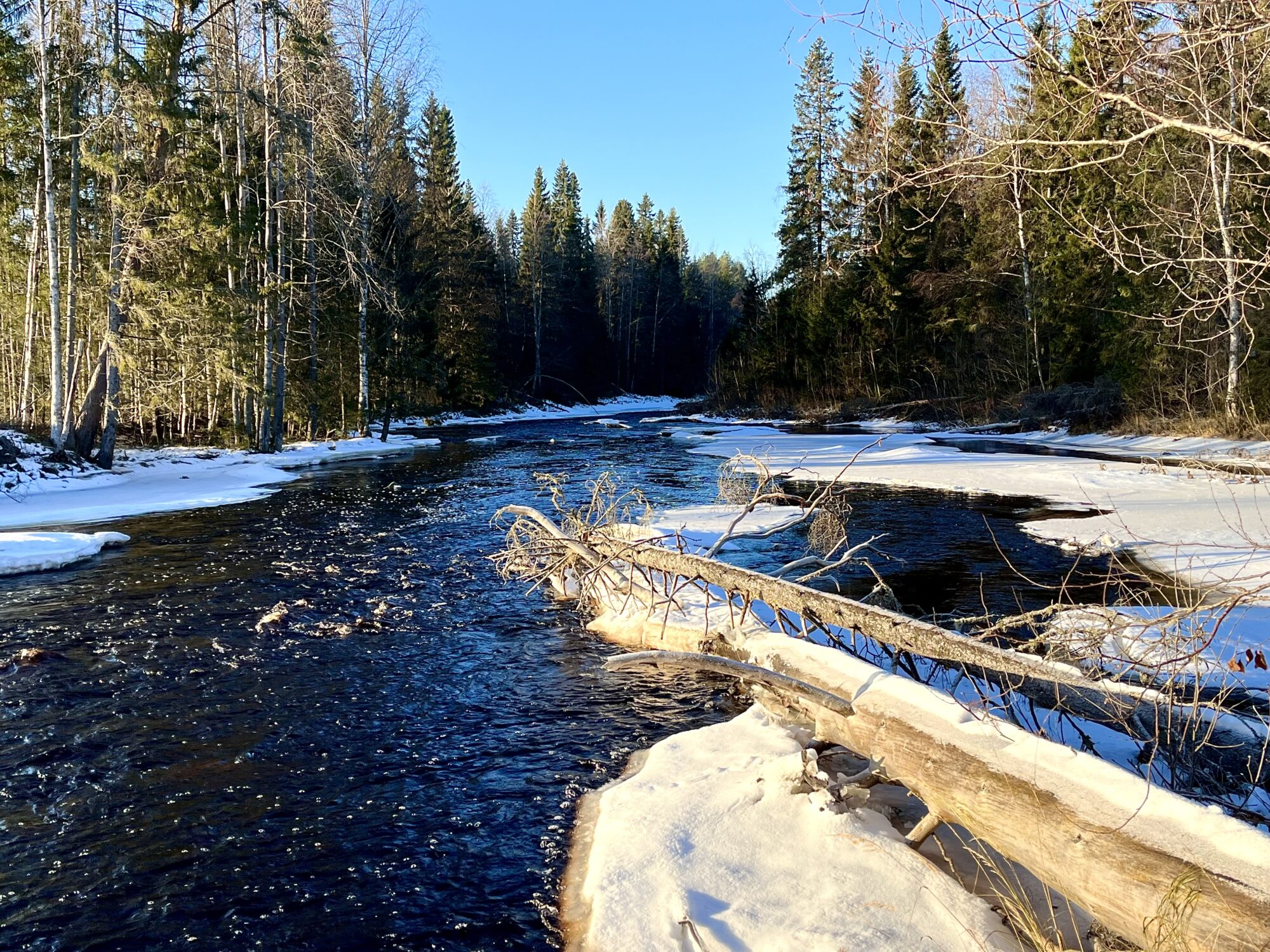 Valokuvaaja: Tuukka Pahtamaa Valokuvaaja: Tuukka Pahtamaa