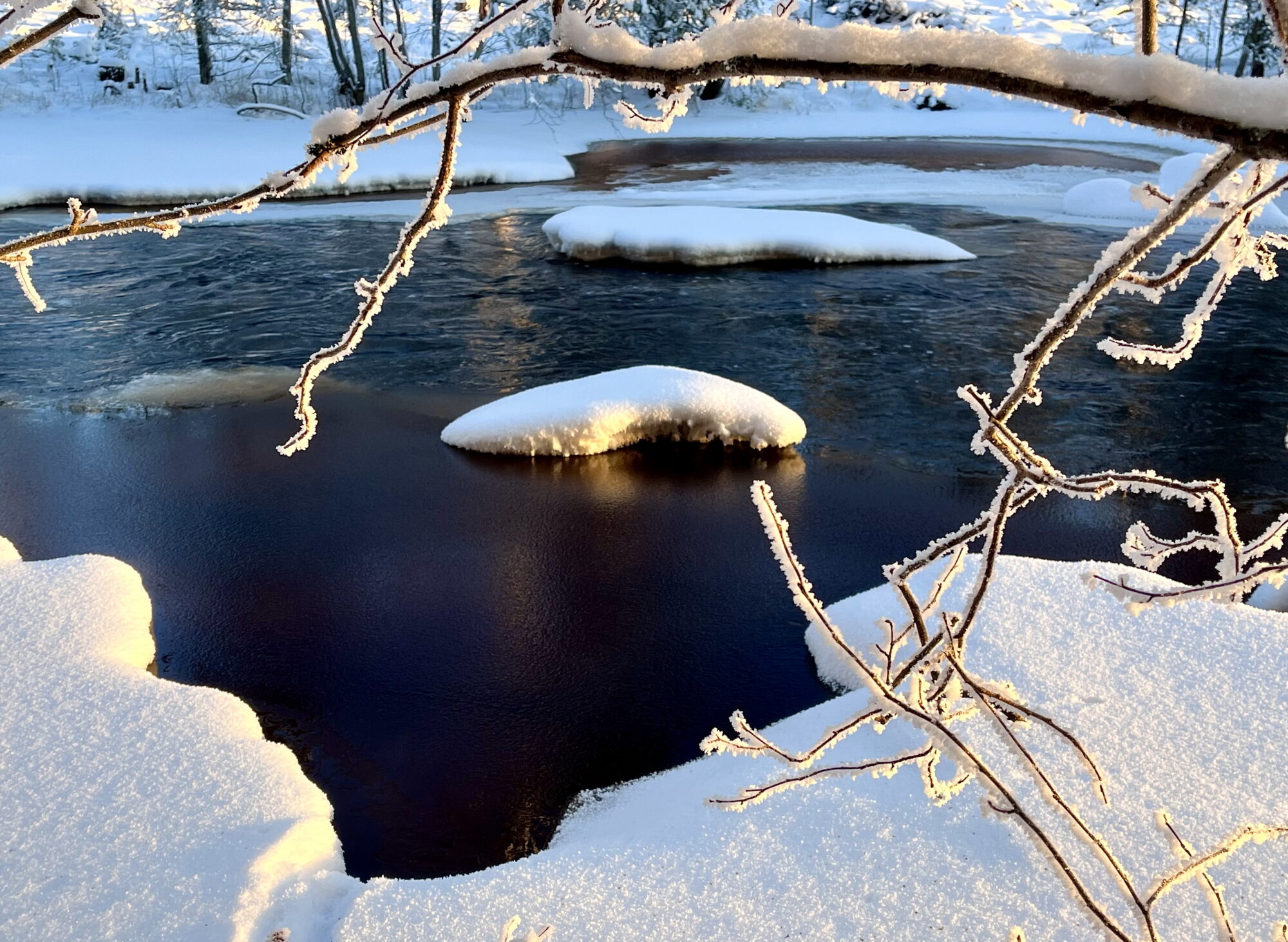 Valokuvaaja: Tuukka Pahtamaa