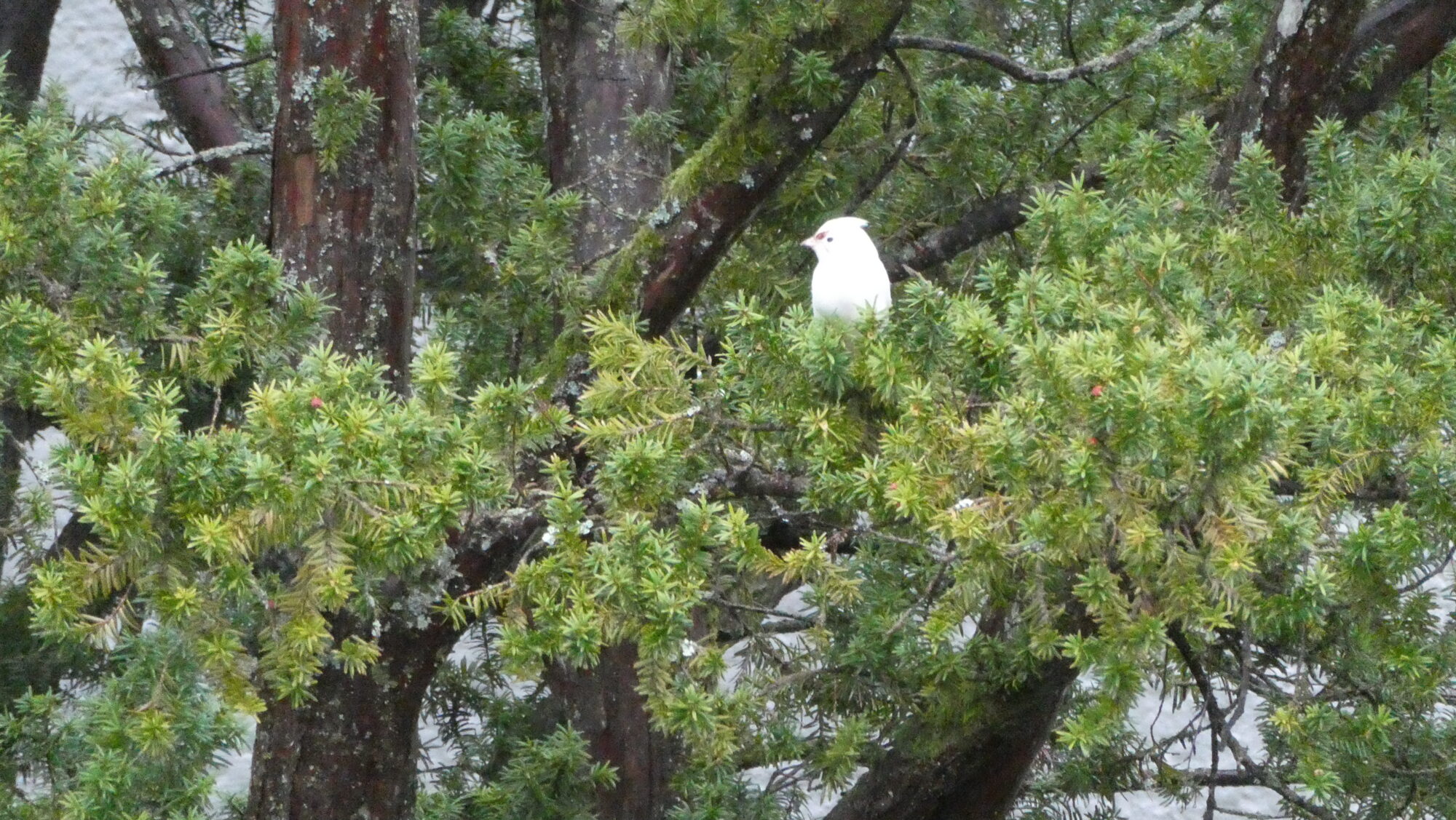 Valokuvaaja: Veijo Kinnunen