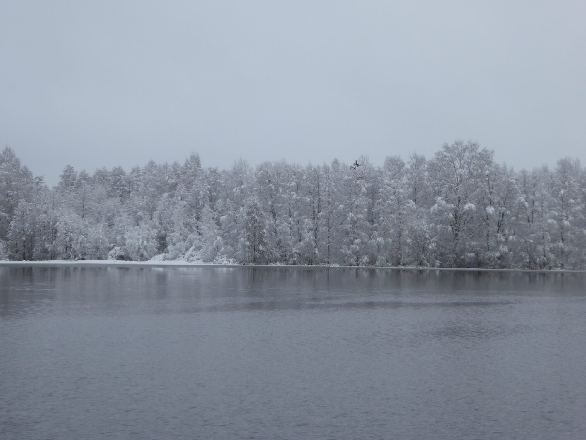 Valokuvaaja: Toni Asikainen Valokuvaaja: Toni Asikainen