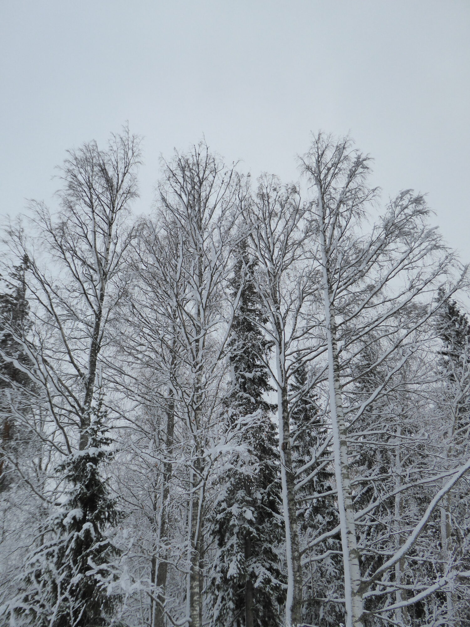 Valokuvaaja: Toni Asikainen