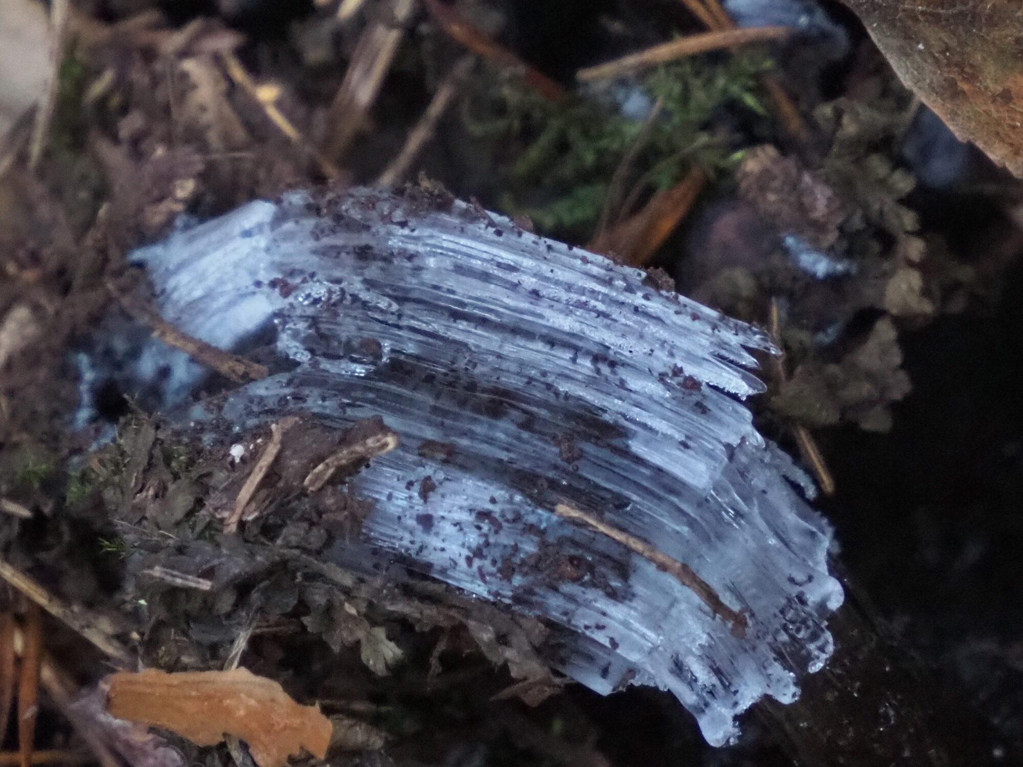 Valokuvaaja: Martti Valtonen Valokuvaaja: Martti Valtonen