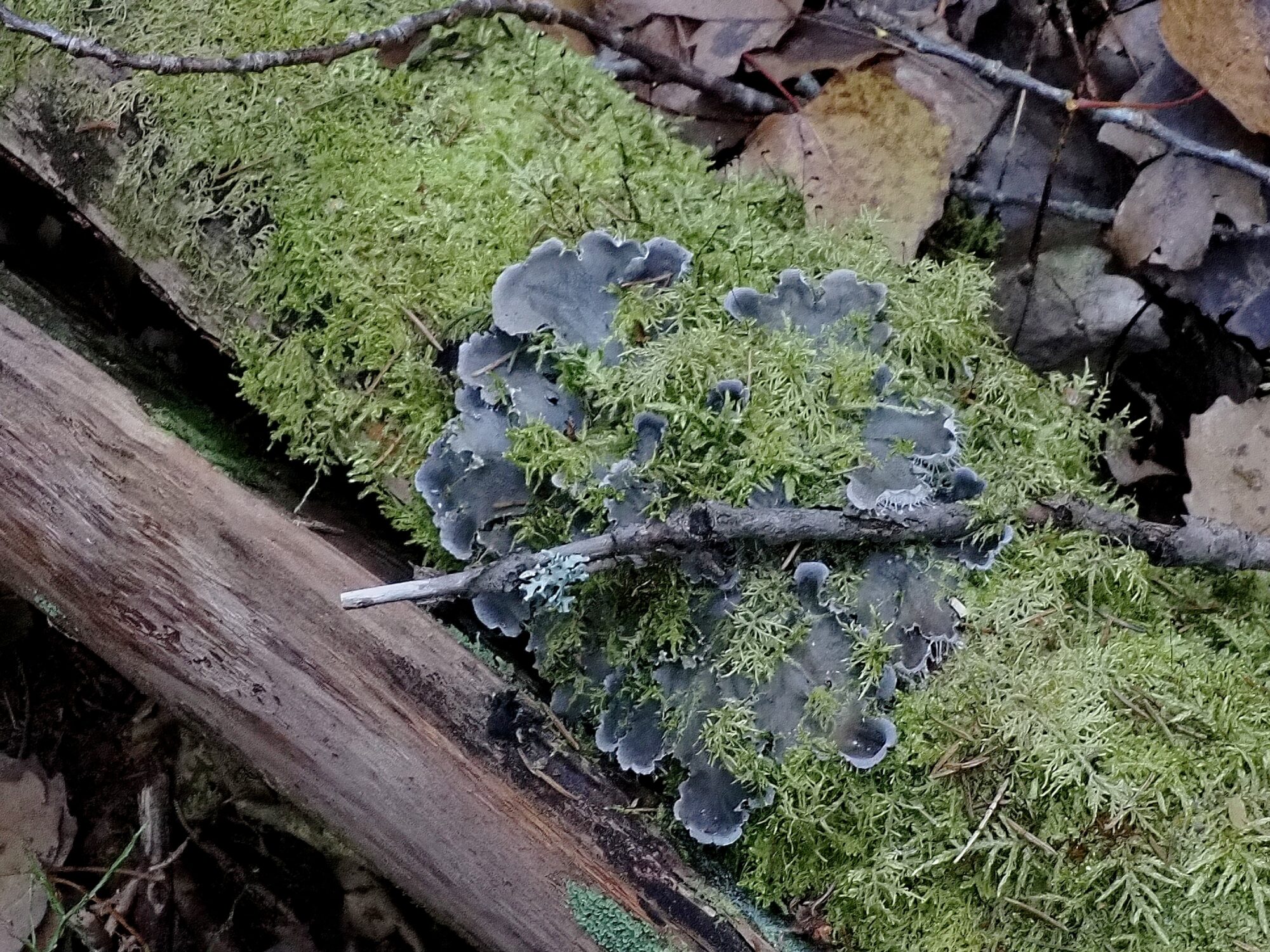 Valokuvaaja: Arja Valtonen