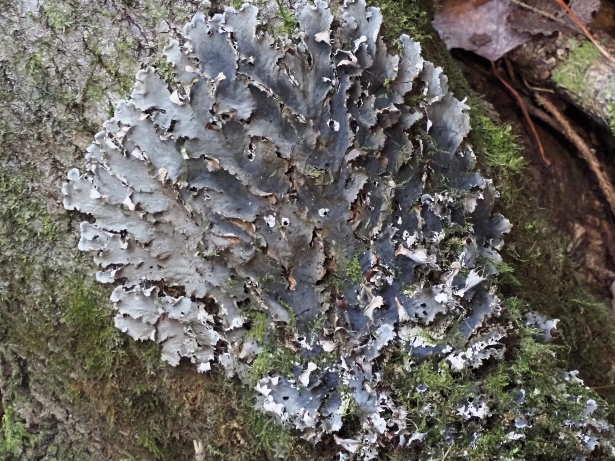 Valokuvaaja: Arja Valtonen