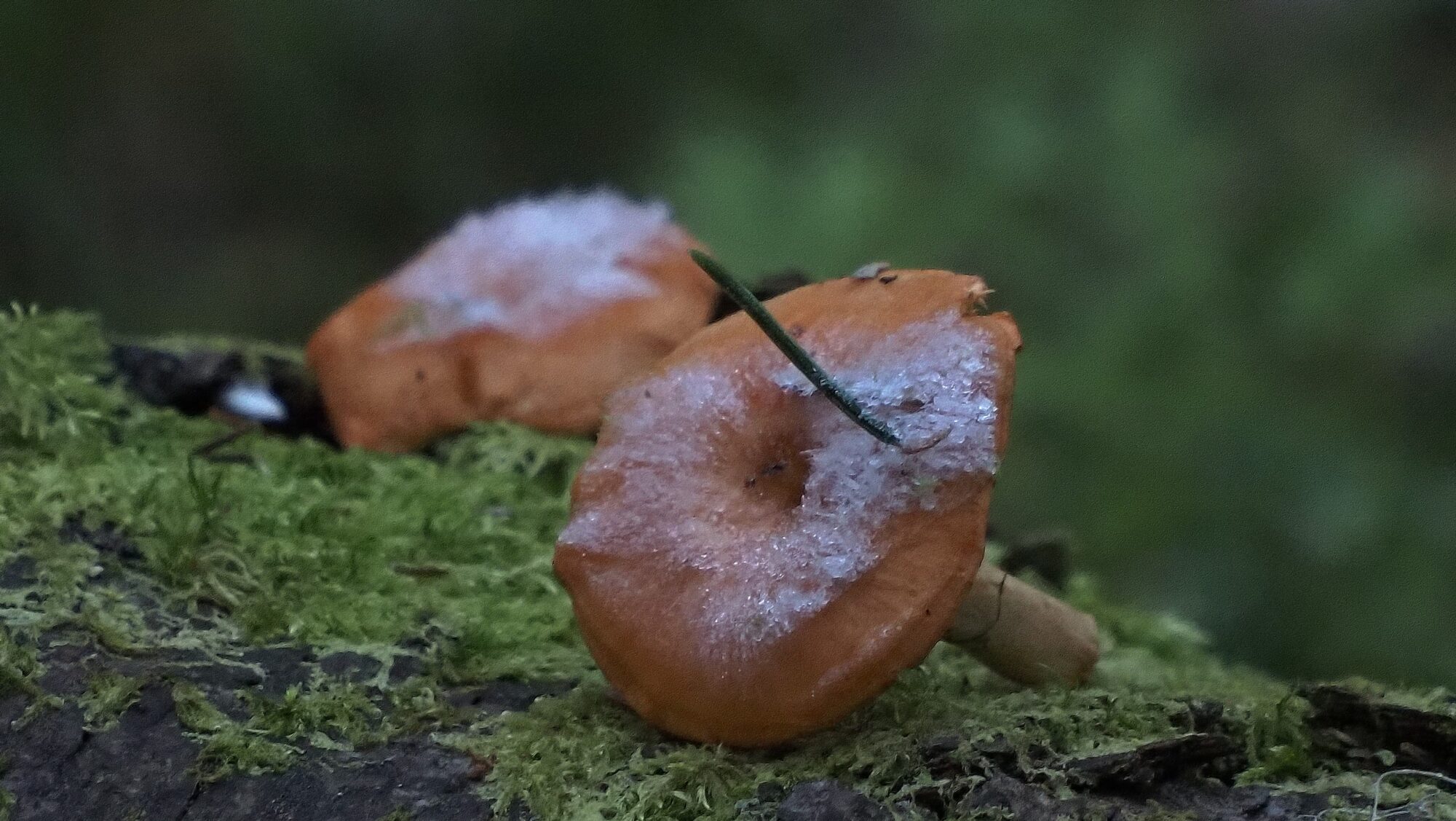 Valokuvaaja: Arja Valtonen