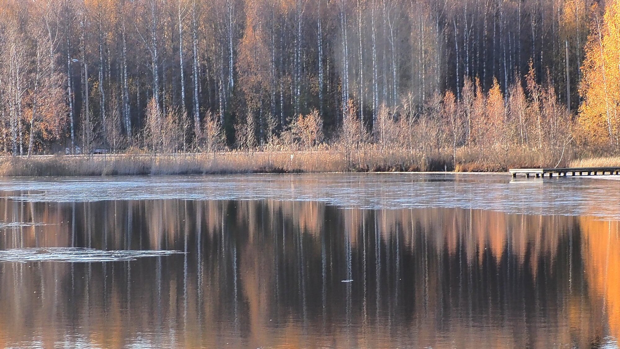 Valokuvaaja: Arja Valtonen
