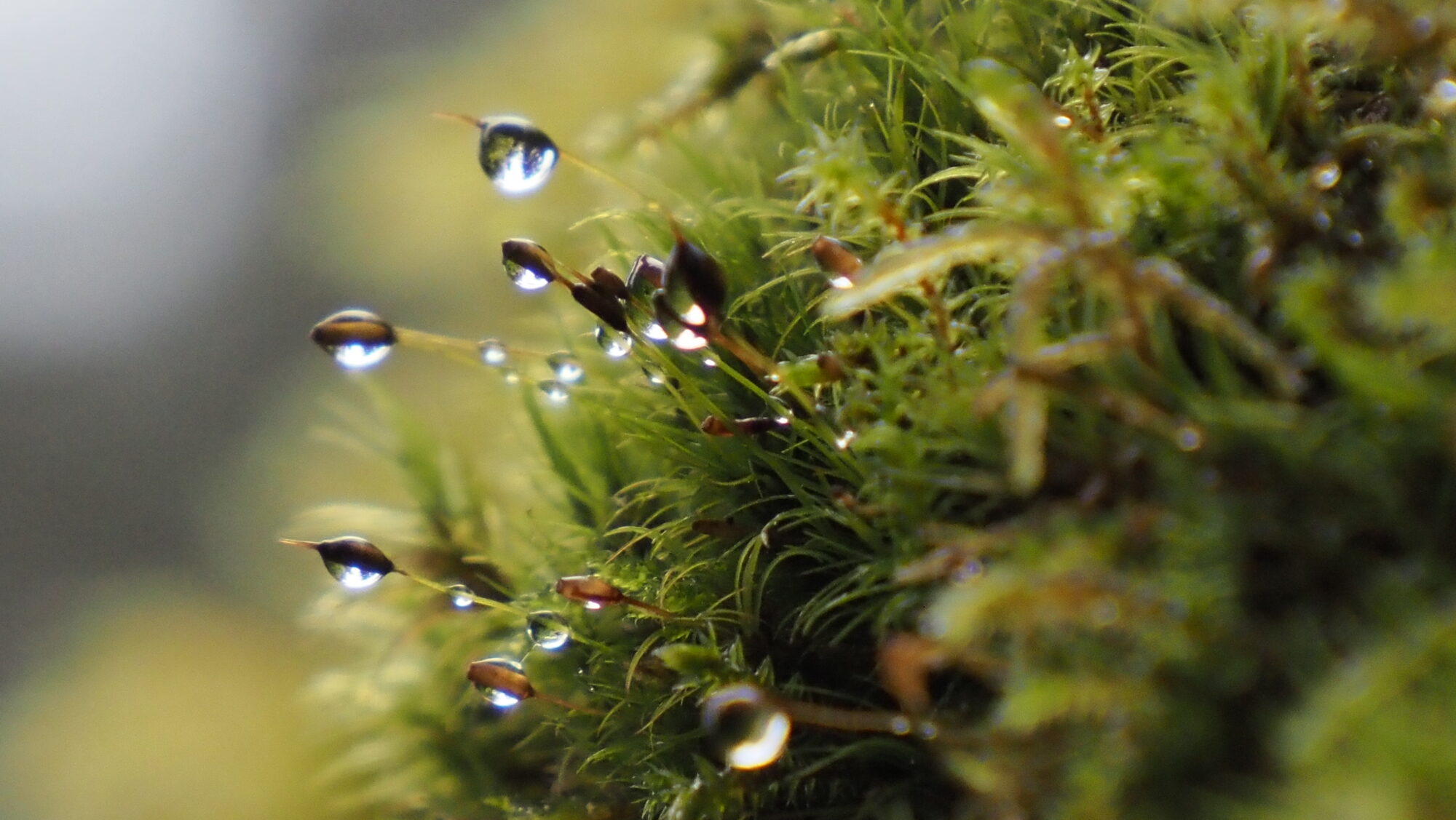 Valokuvaaja: Arja Valtonen