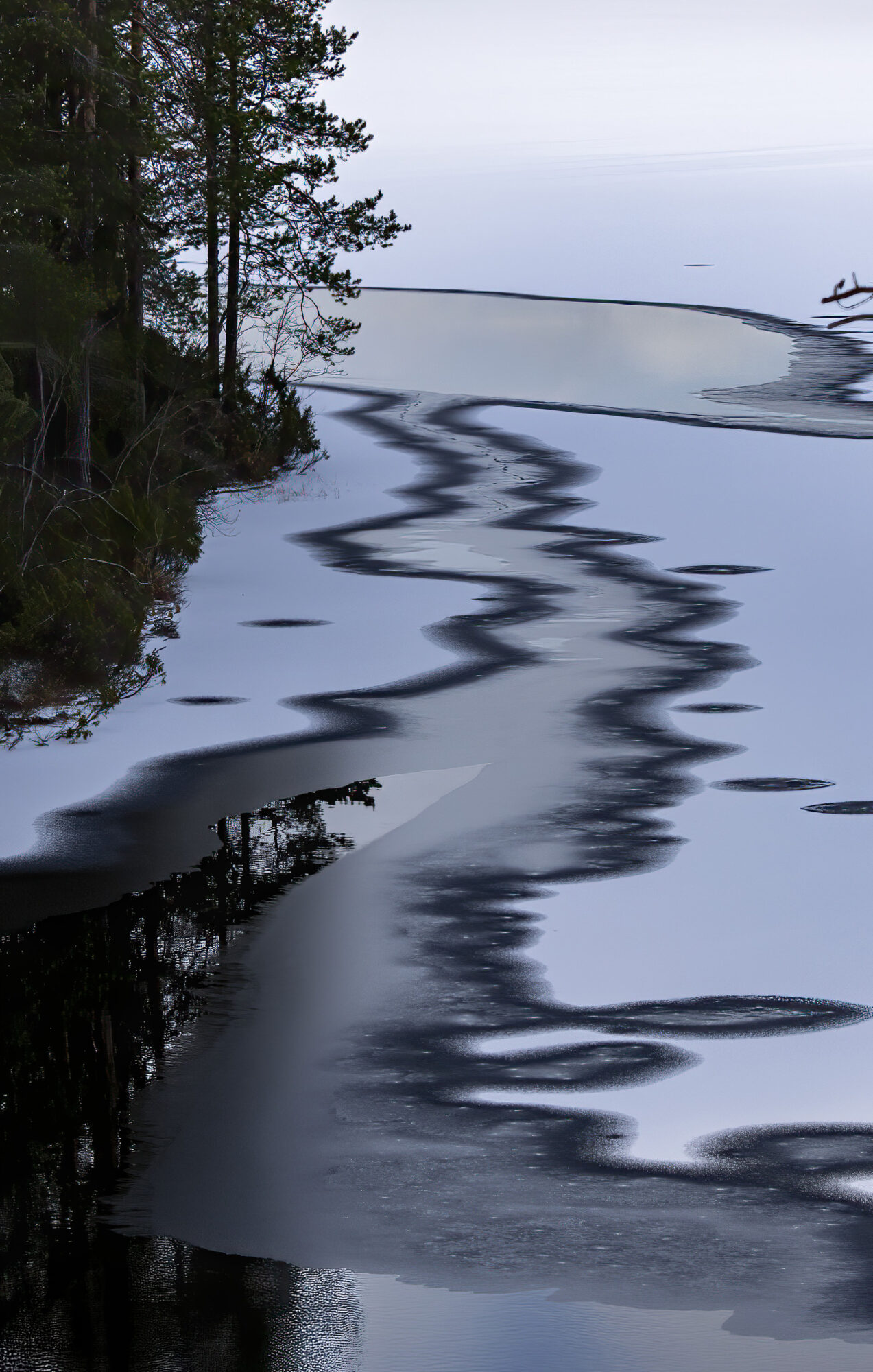 Valokuvaaja: Hannu Tikkanen Valokuvaaja: Hannu Tikkanen