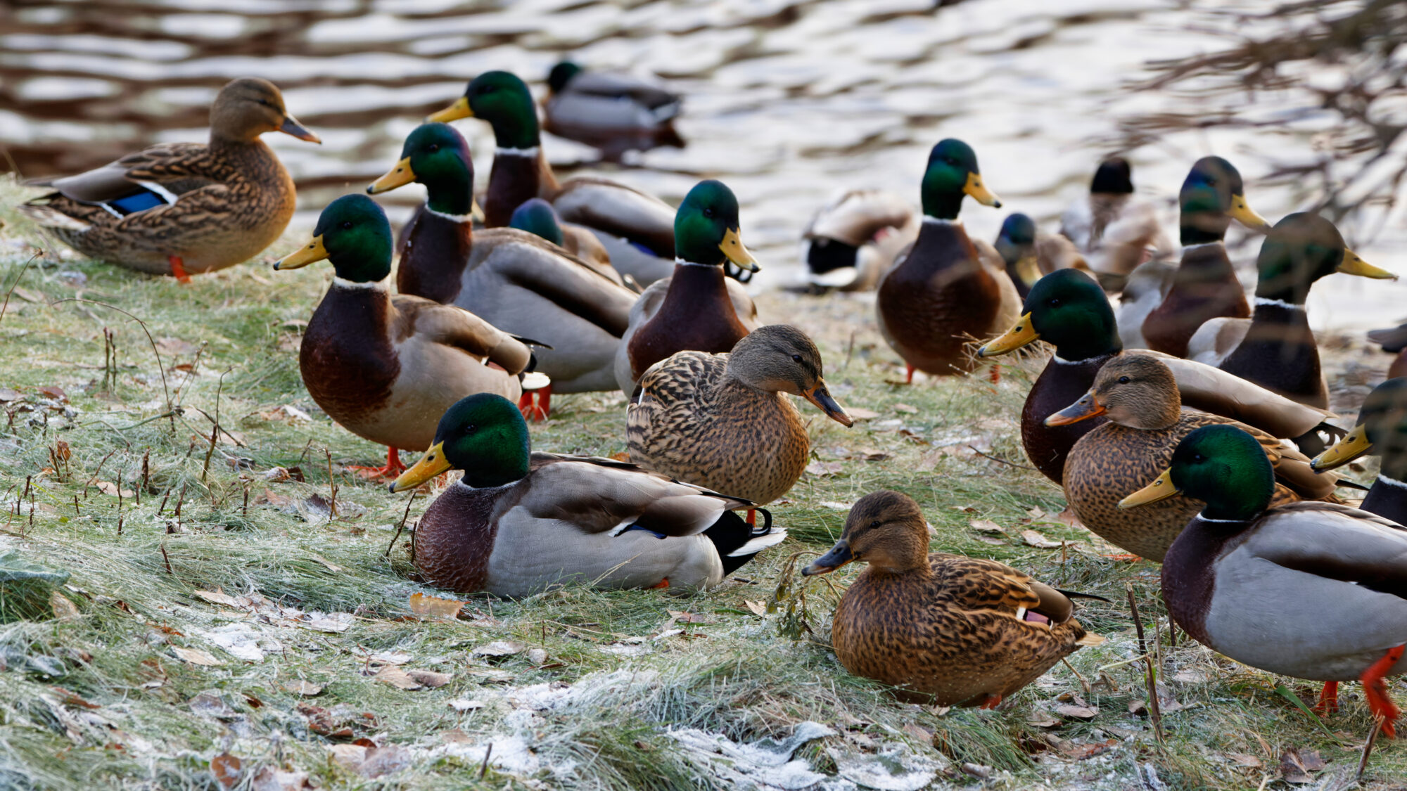 Valokuvaaja: TOMMI KUJALA Valokuvaaja: TOMMI KUJALA