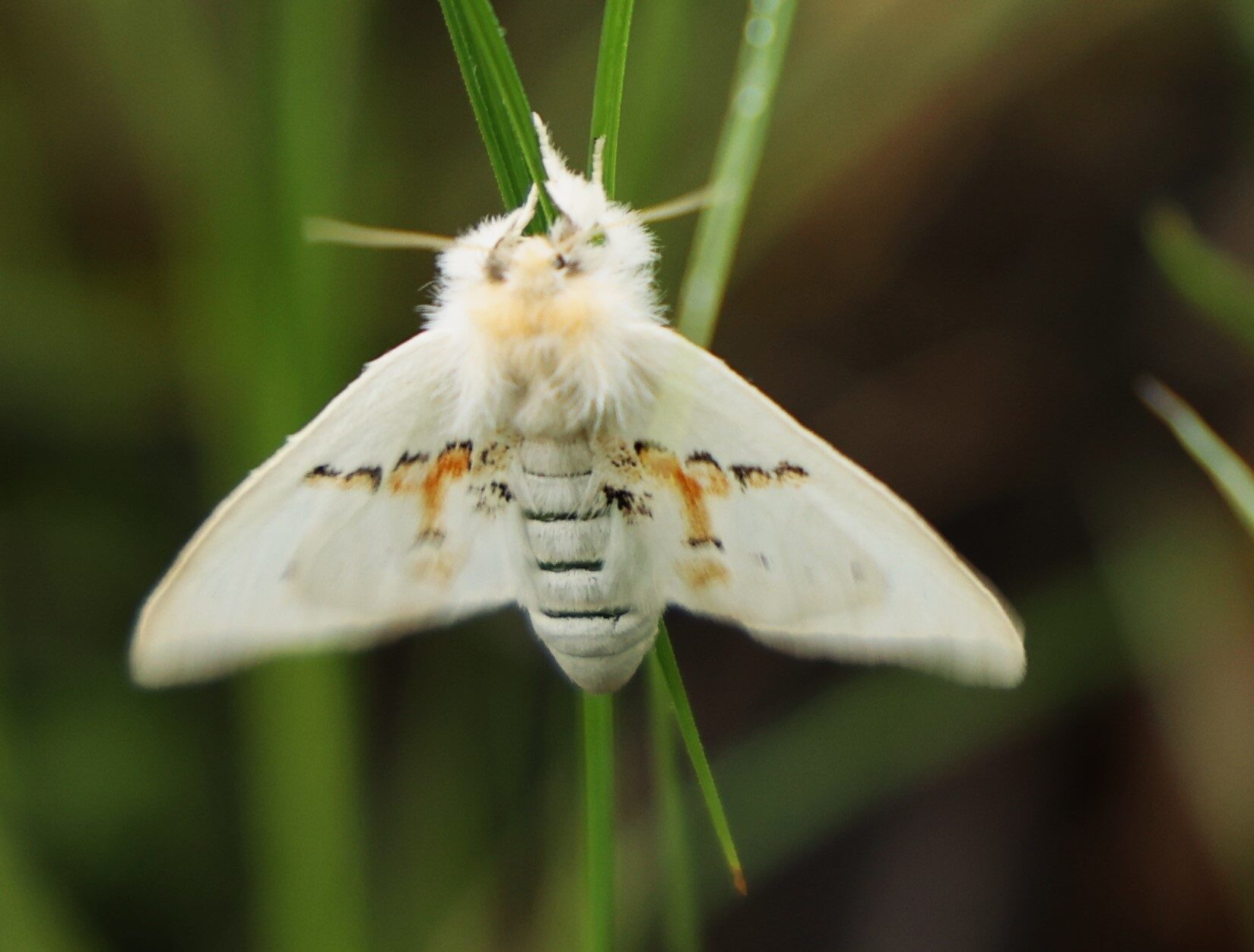 Valokuvaaja: Kaarina Heiskanen