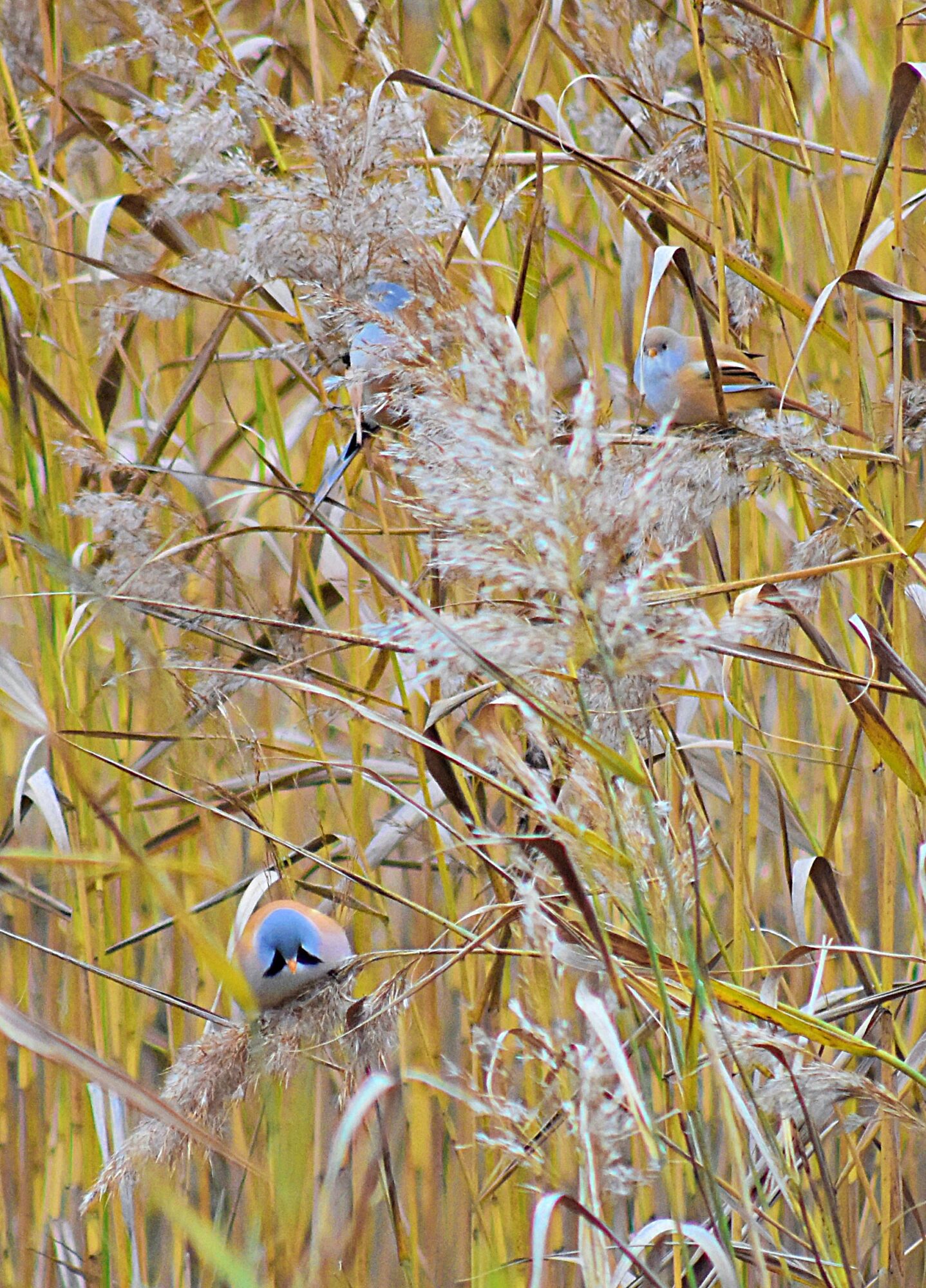 Valokuvaaja: Kati Wink