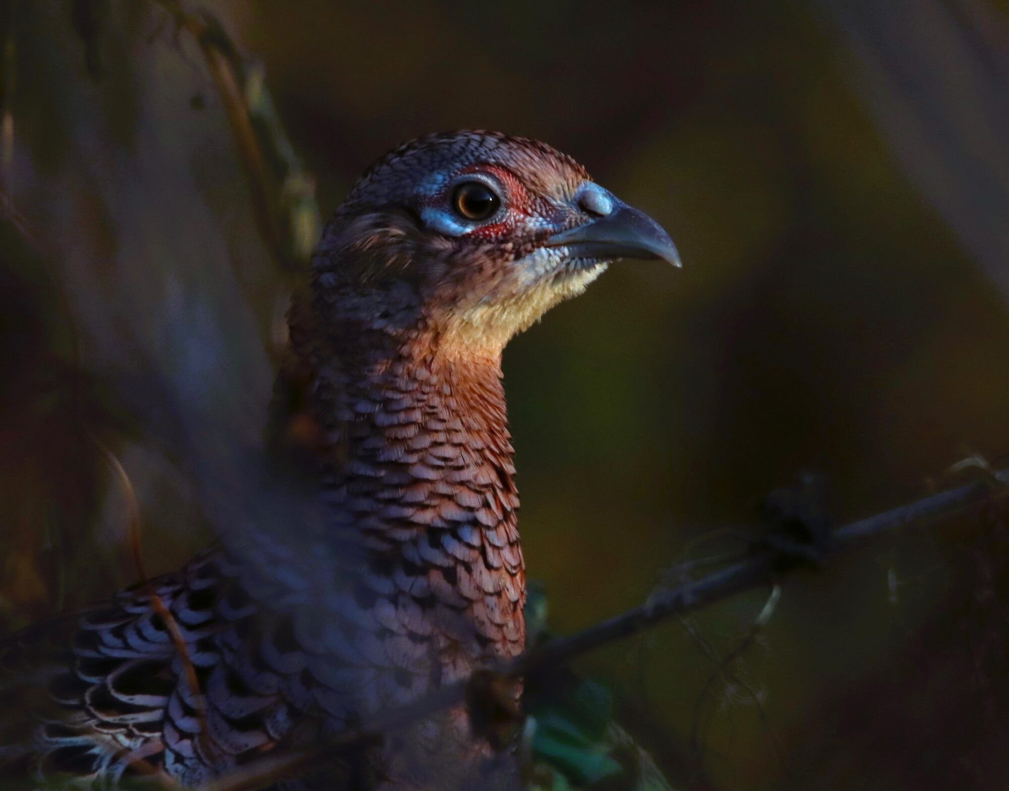 Valokuvaaja: Irja Lehtinen