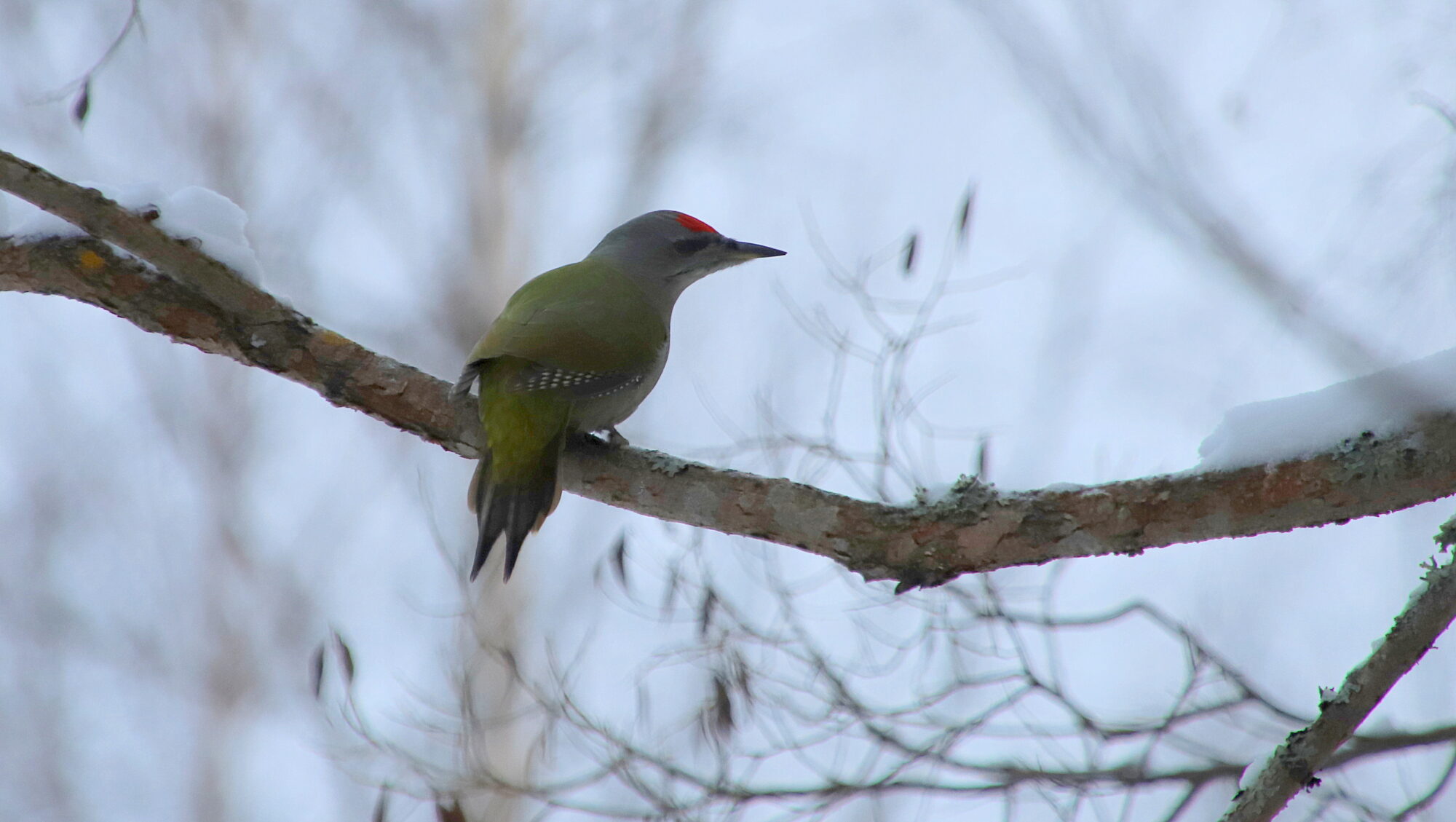 Valokuvaaja: sirpa Jyske