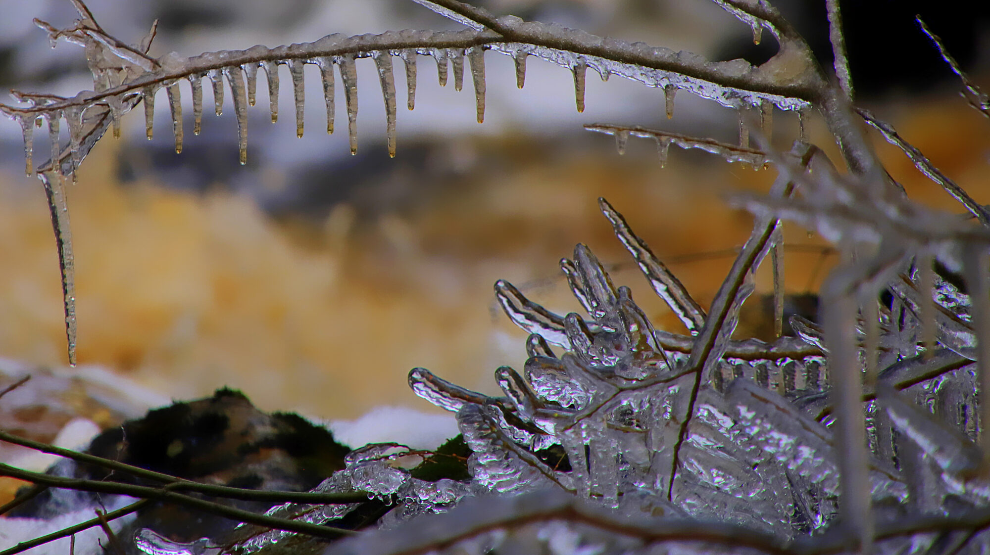 Valokuvaaja: sirpa Jyske