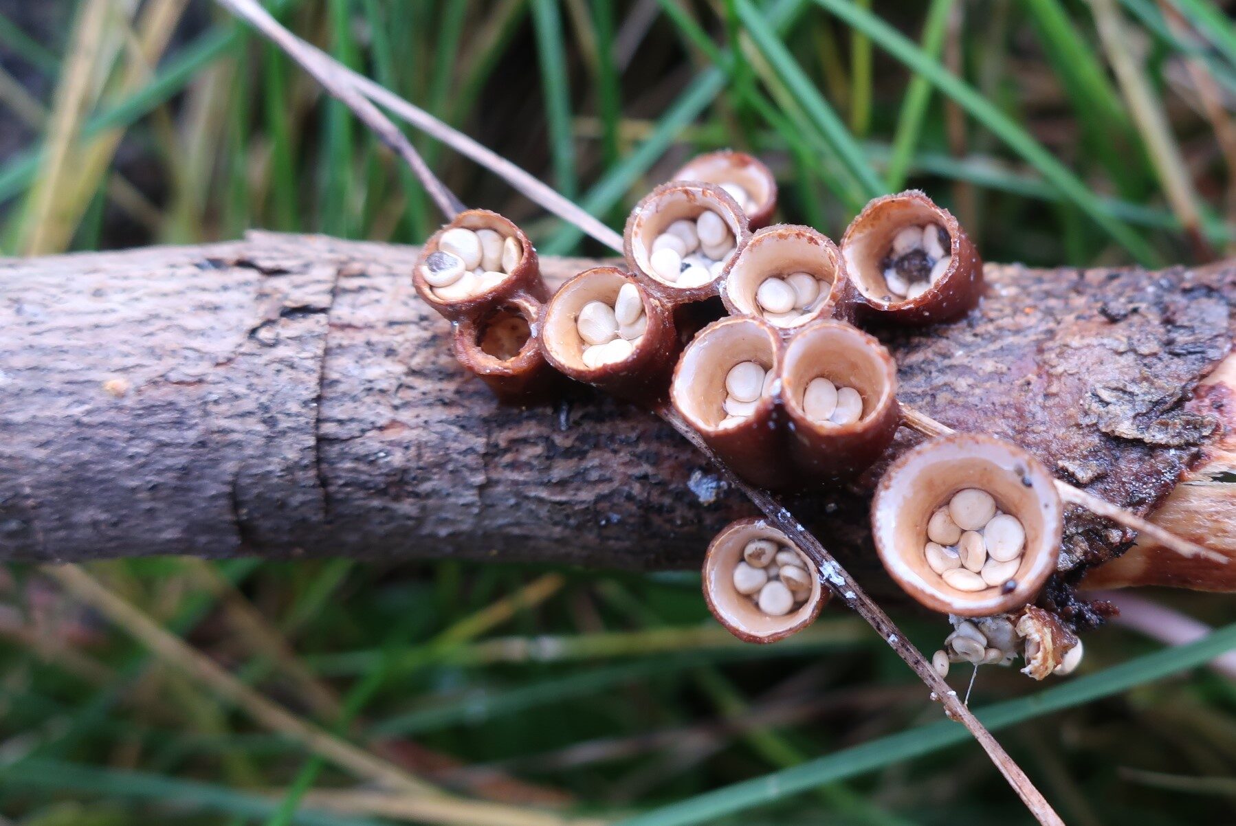 Valokuvaaja: Arja Pohto
