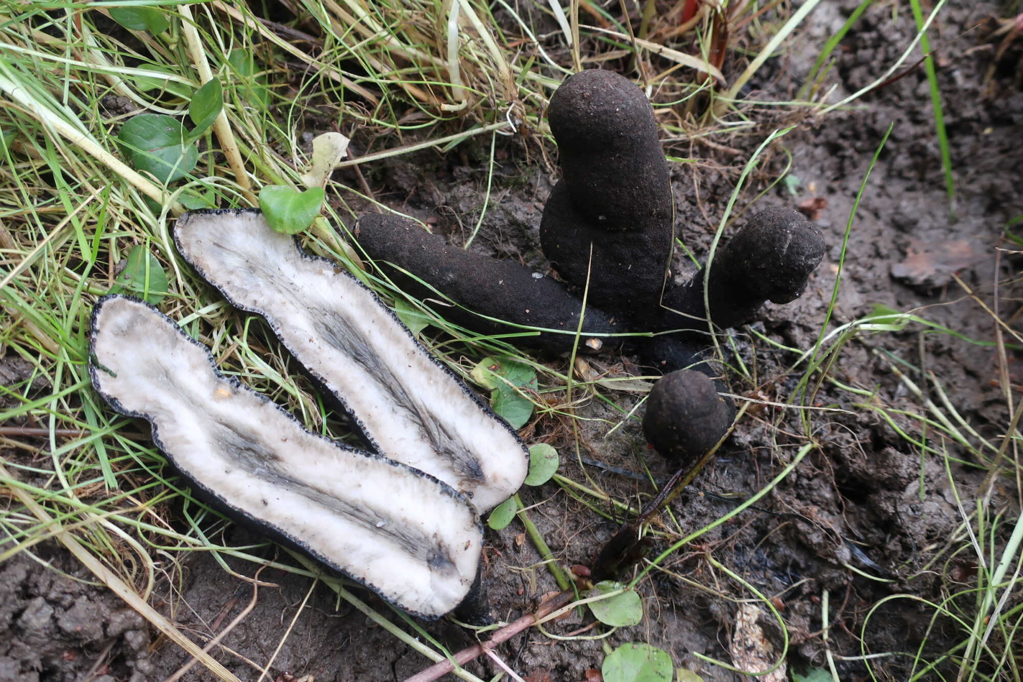 Valokuvaaja: Arja Pohto