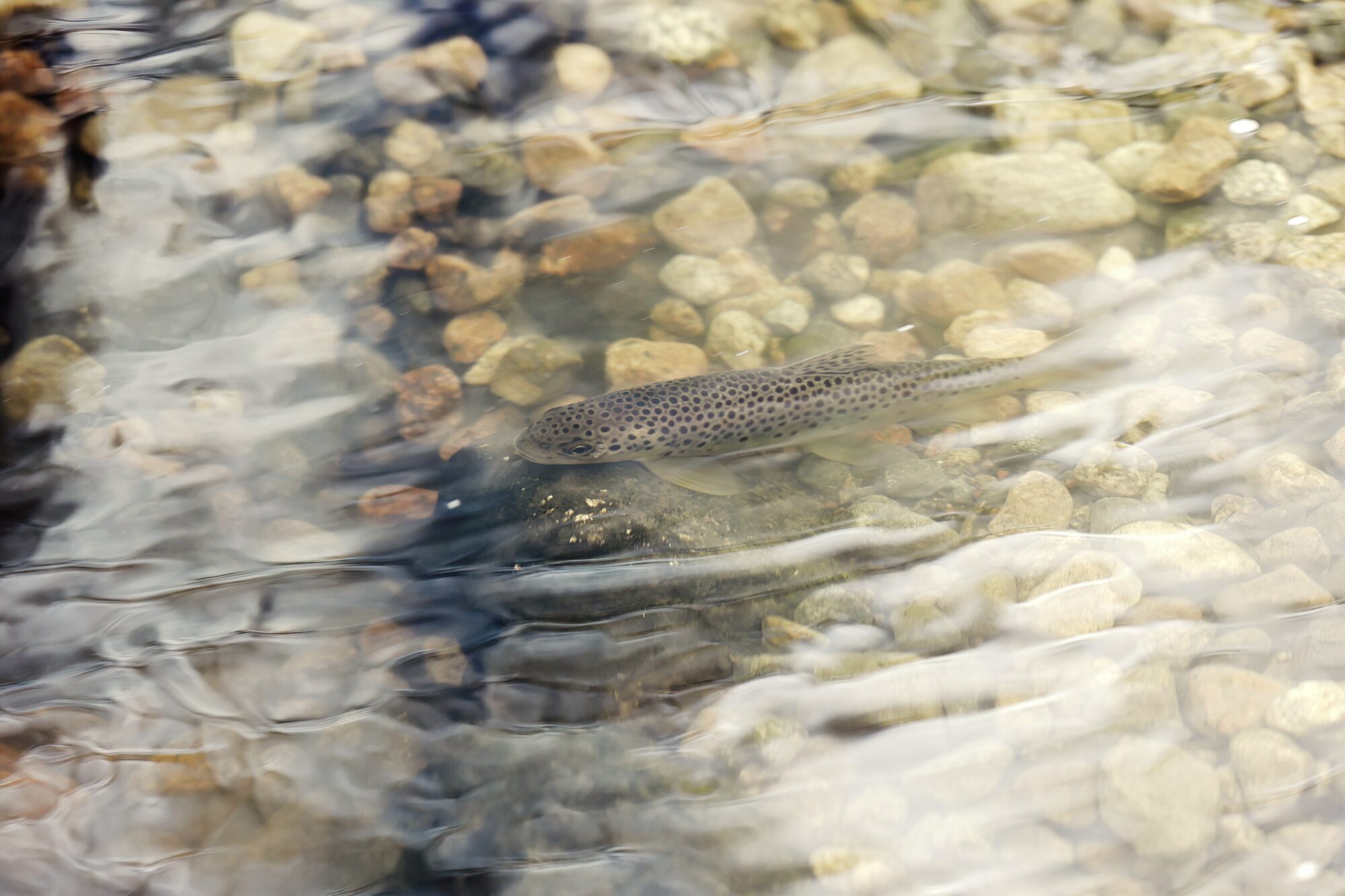 Valokuvaaja: Janne Salomeri