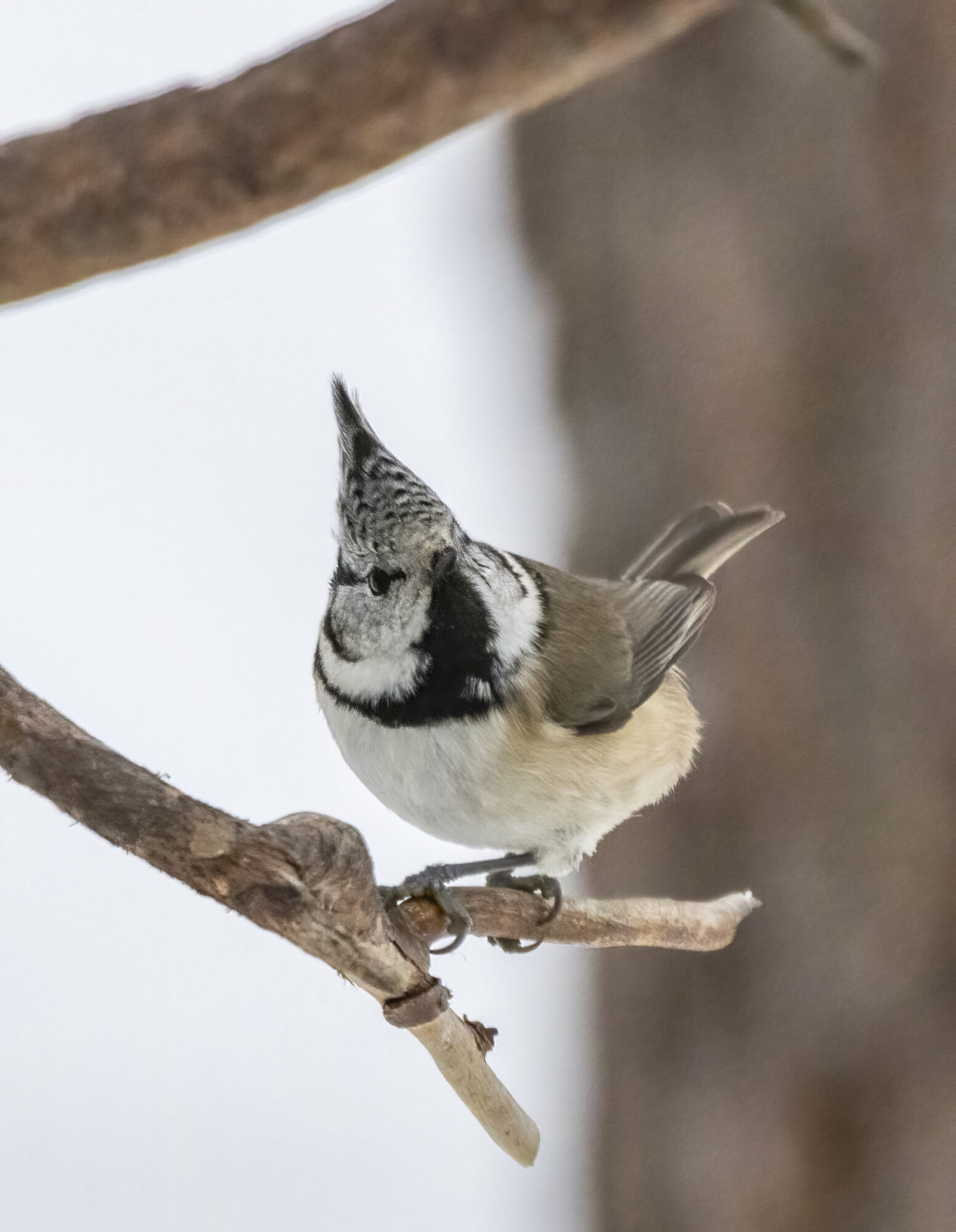 Valokuvaaja: Hannu Tikkanen Valokuvaaja: Hannu Tikkanen