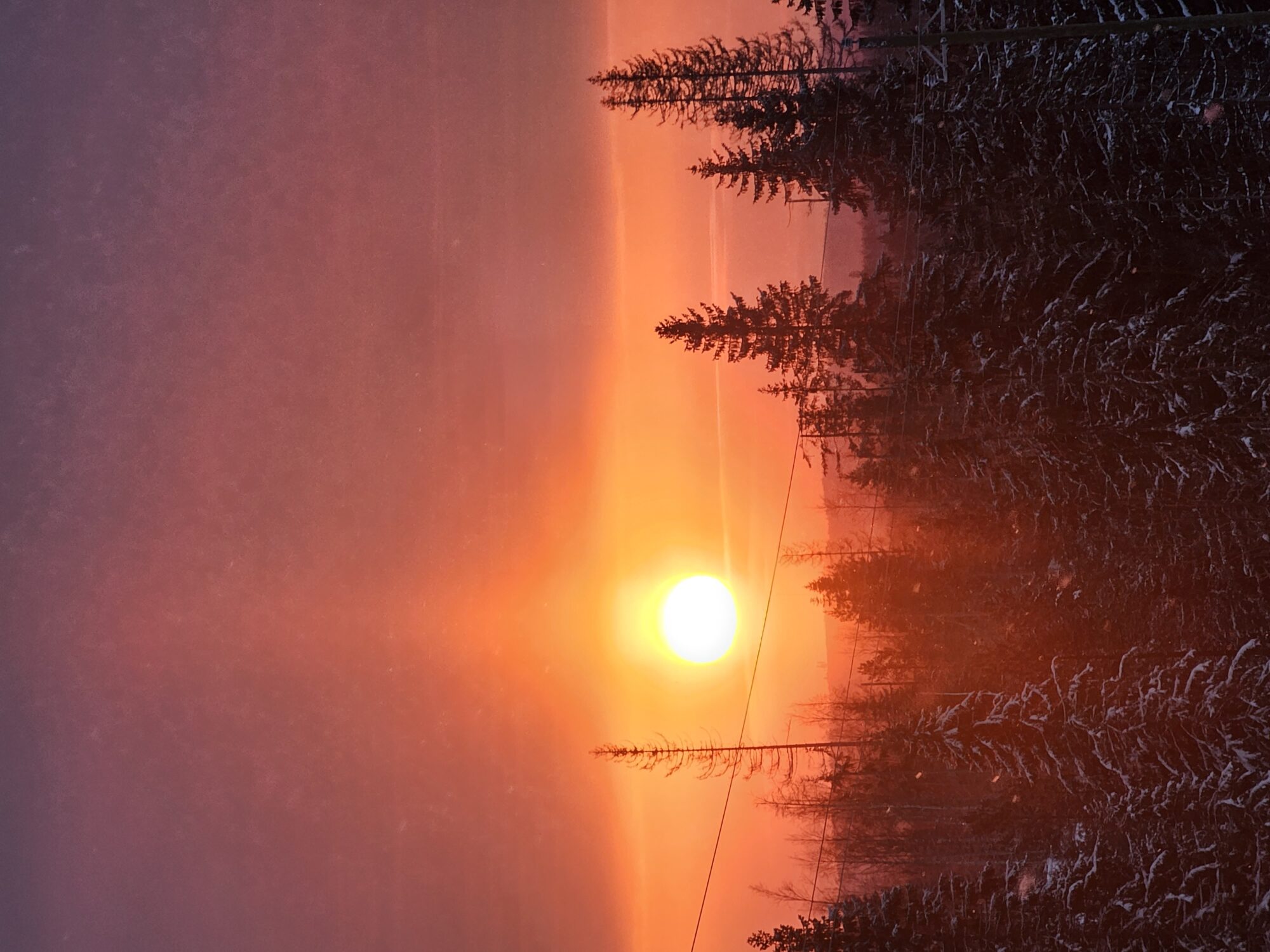 Valokuvaaja: Hannu Rissanen