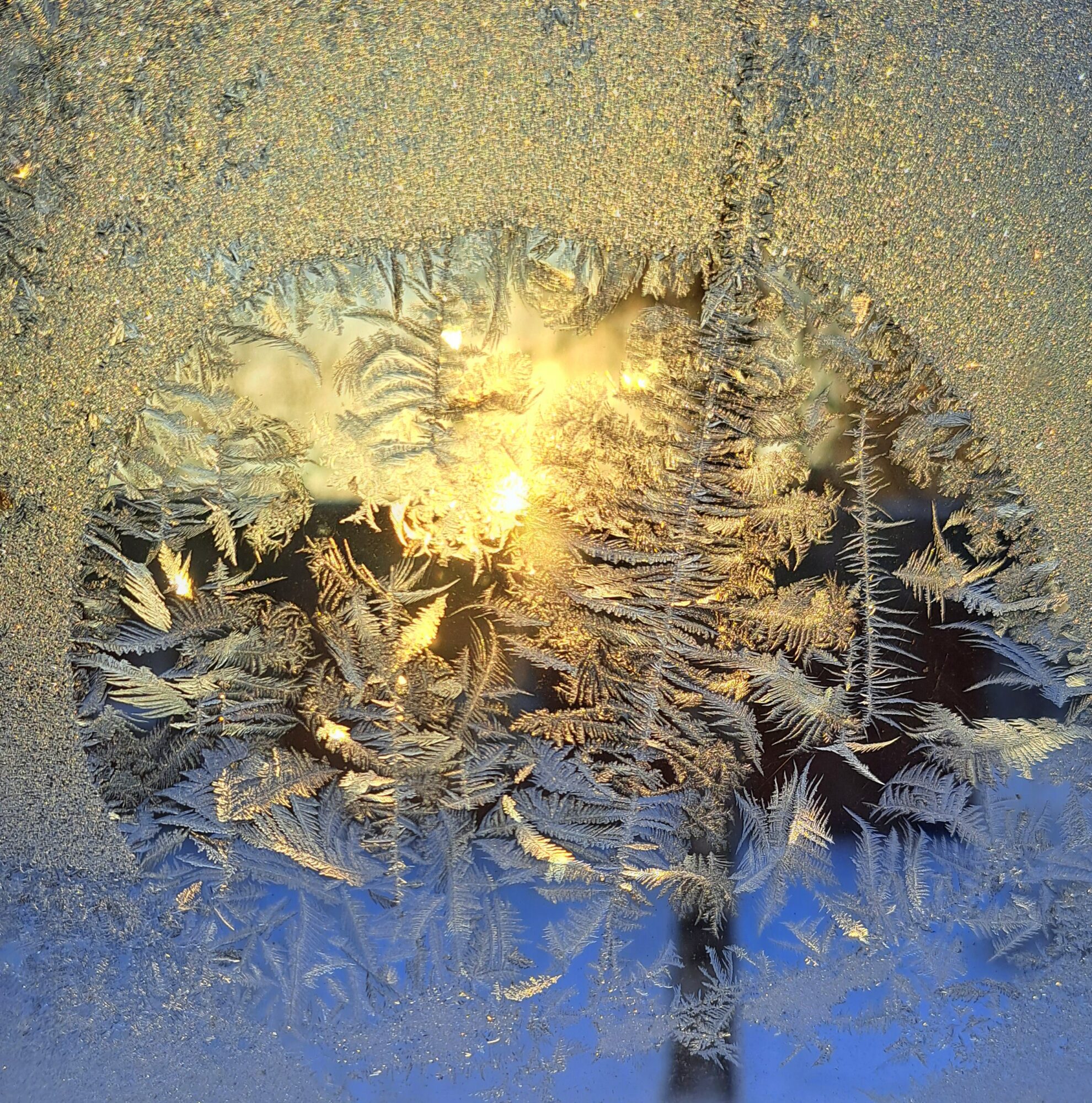 Valokuvaaja: Irja Lehtinen Valokuvaaja: Irja Lehtinen