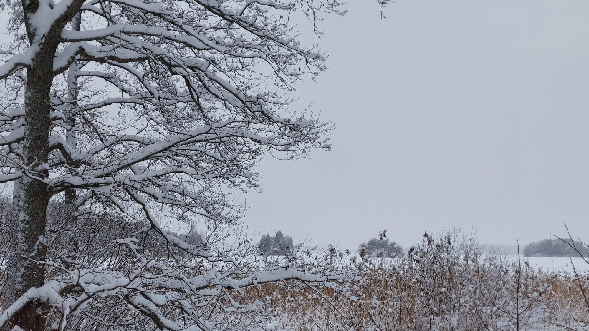 Valokuvaaja: Tarja Naukkarinen Valokuvaaja: Tarja Naukkarinen