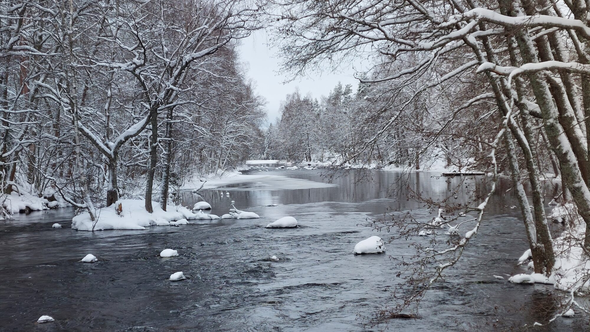 Valokuvaaja: Tarja Naukkarinen
