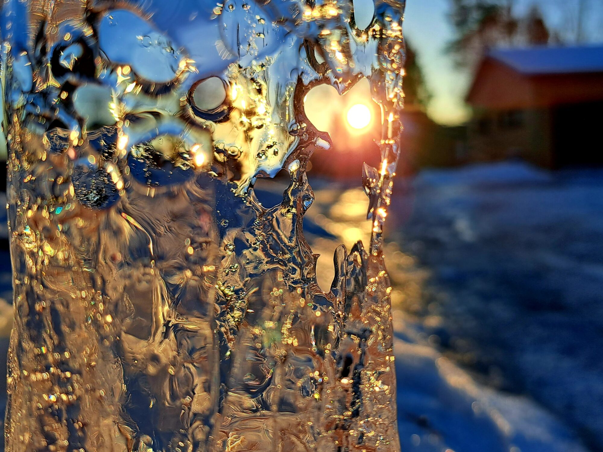 Valokuvaaja: Irja Lehtinen
