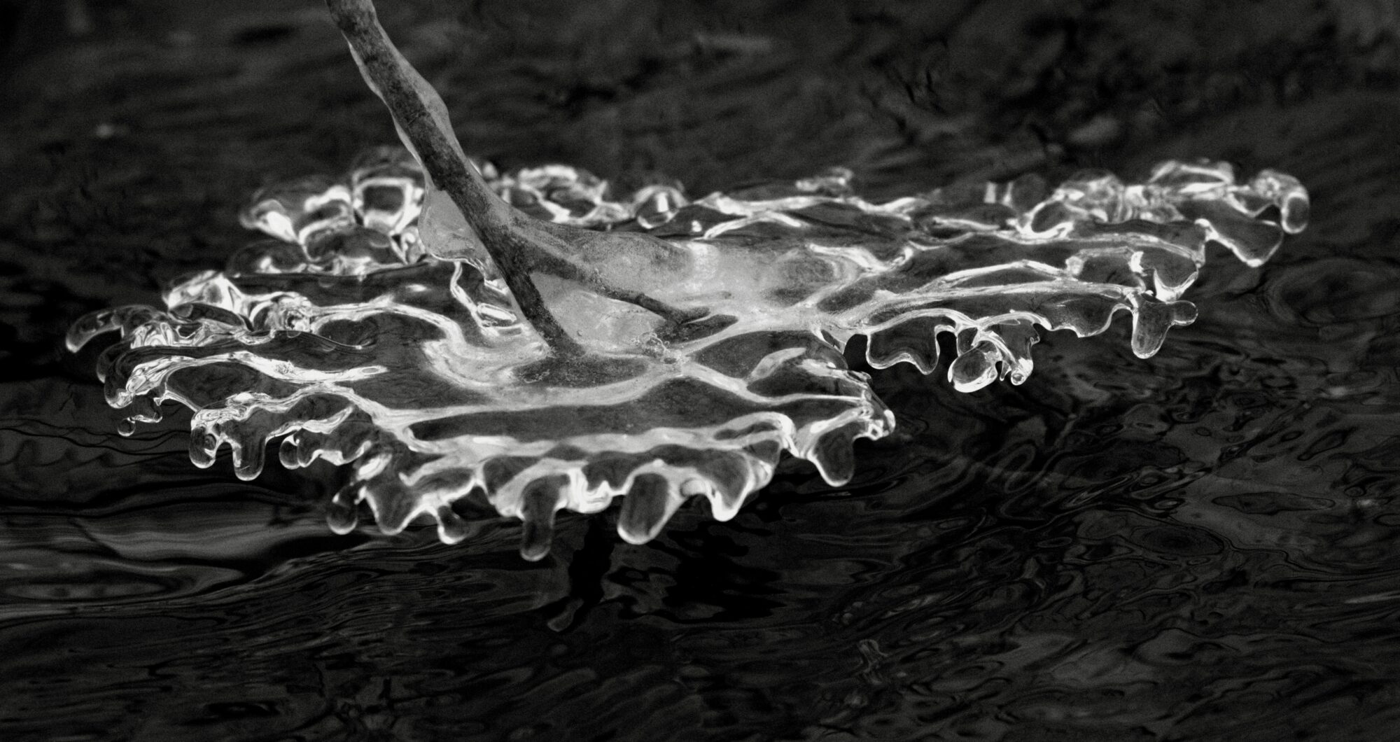 Valokuvaaja: Tapio Keinonen