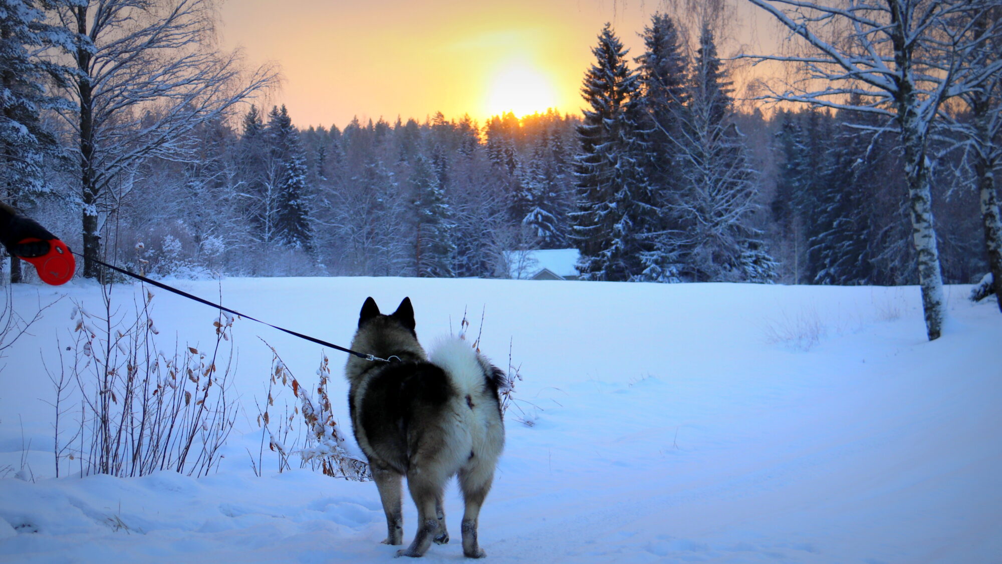 Valokuvaaja: sirpa Jyske