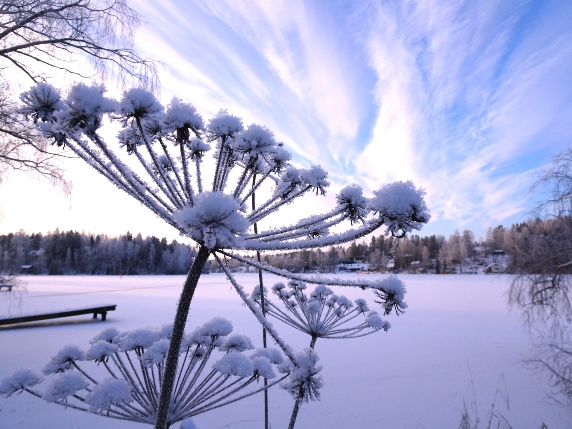 Valokuvaaja: Irja Lehtinen