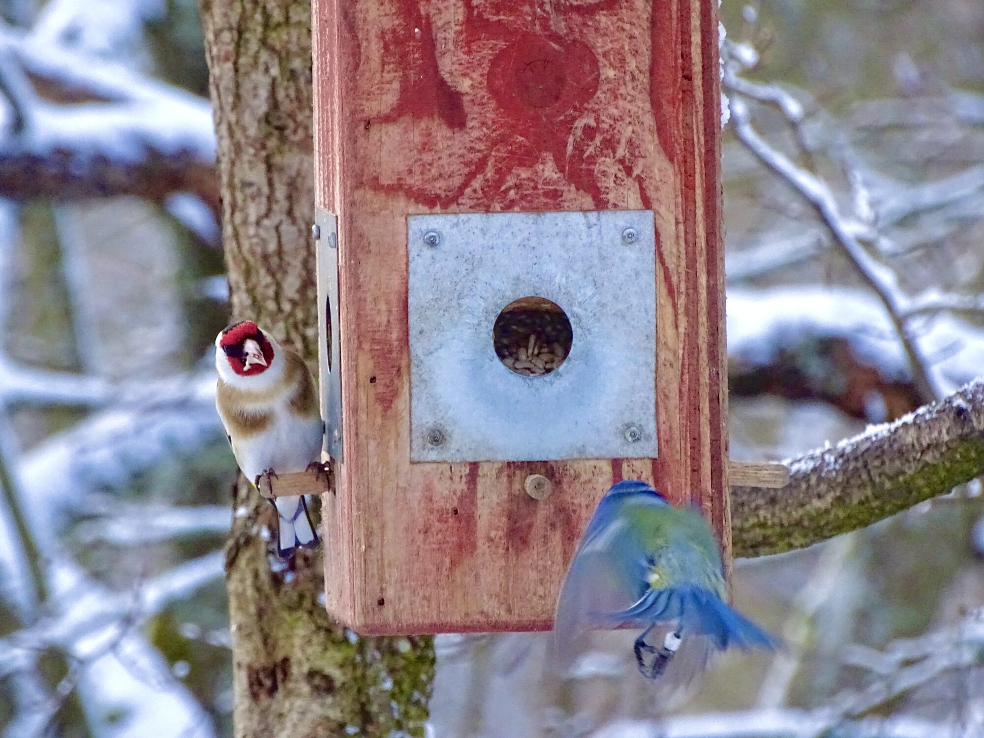 Valokuvaaja: Juhani Peltonen Valokuvaaja: Juhani Peltonen