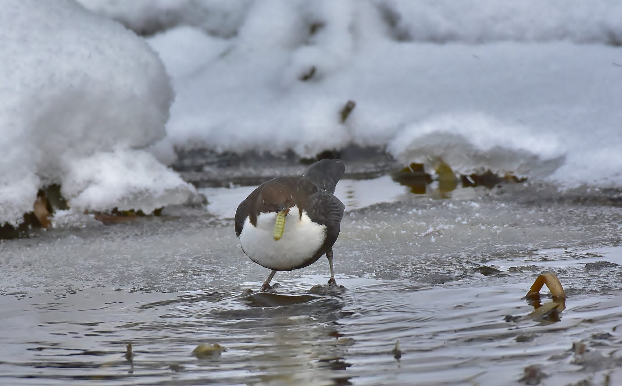 Valokuvaaja: Markku Pelkonen