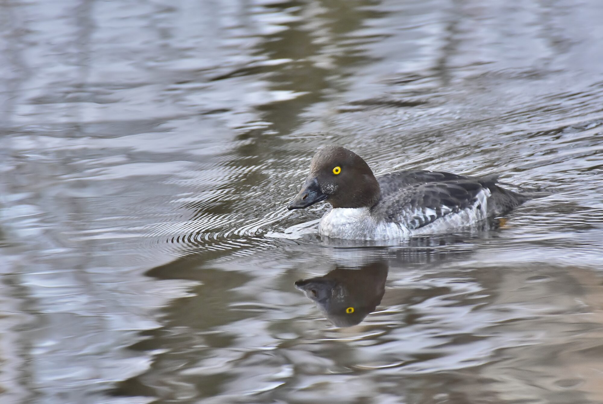Valokuvaaja: Markku Pelkonen