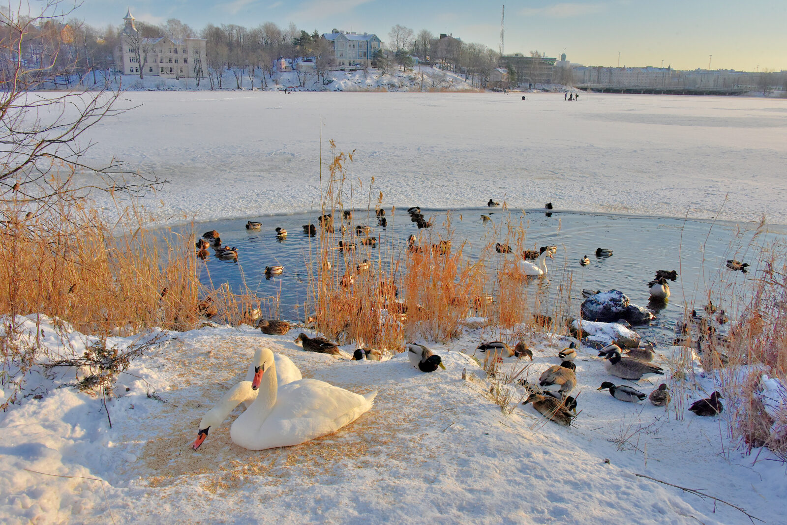 Valokuvaaja: Reijo Juurinen