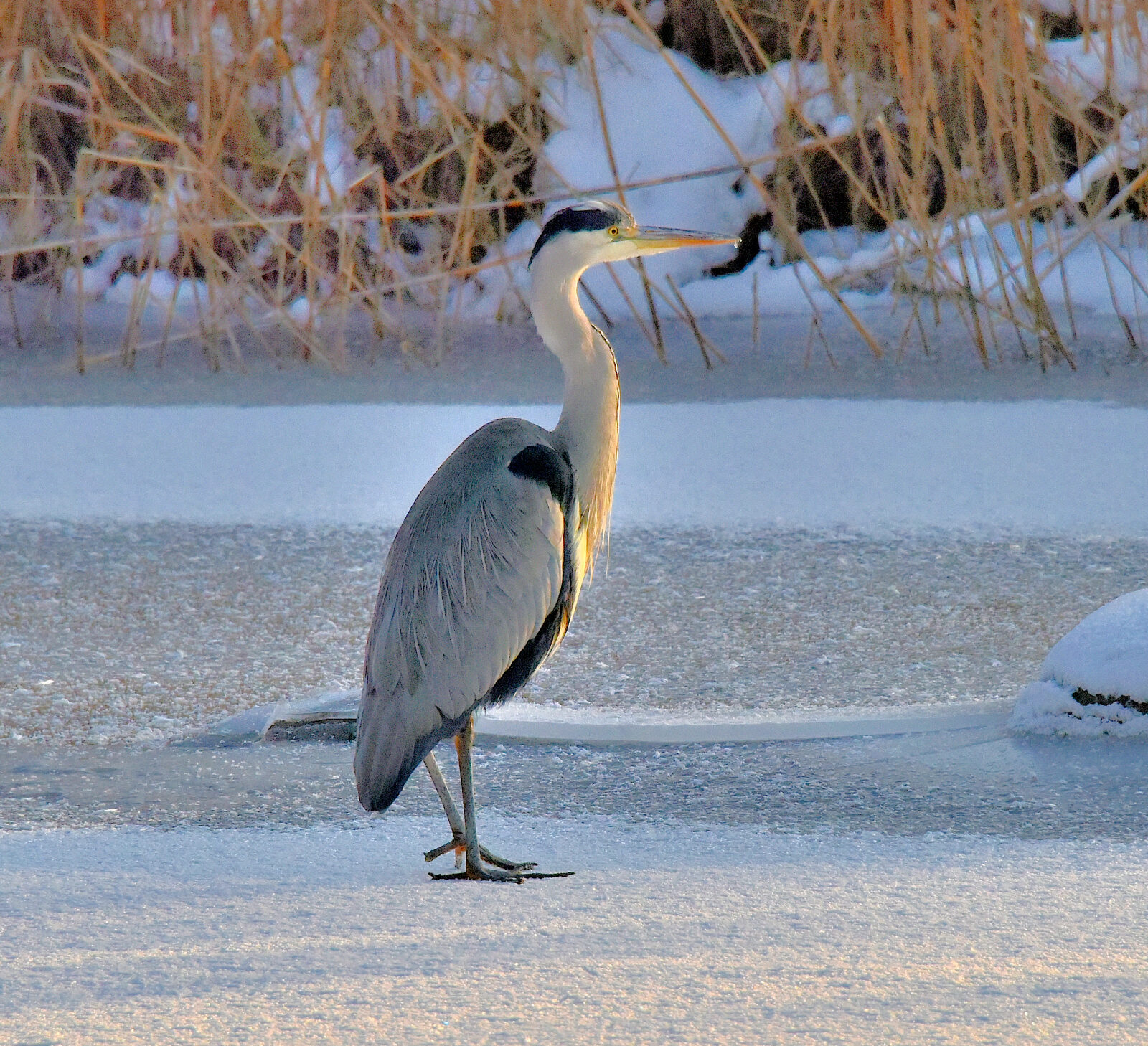 Valokuvaaja: Reijo Juurinen