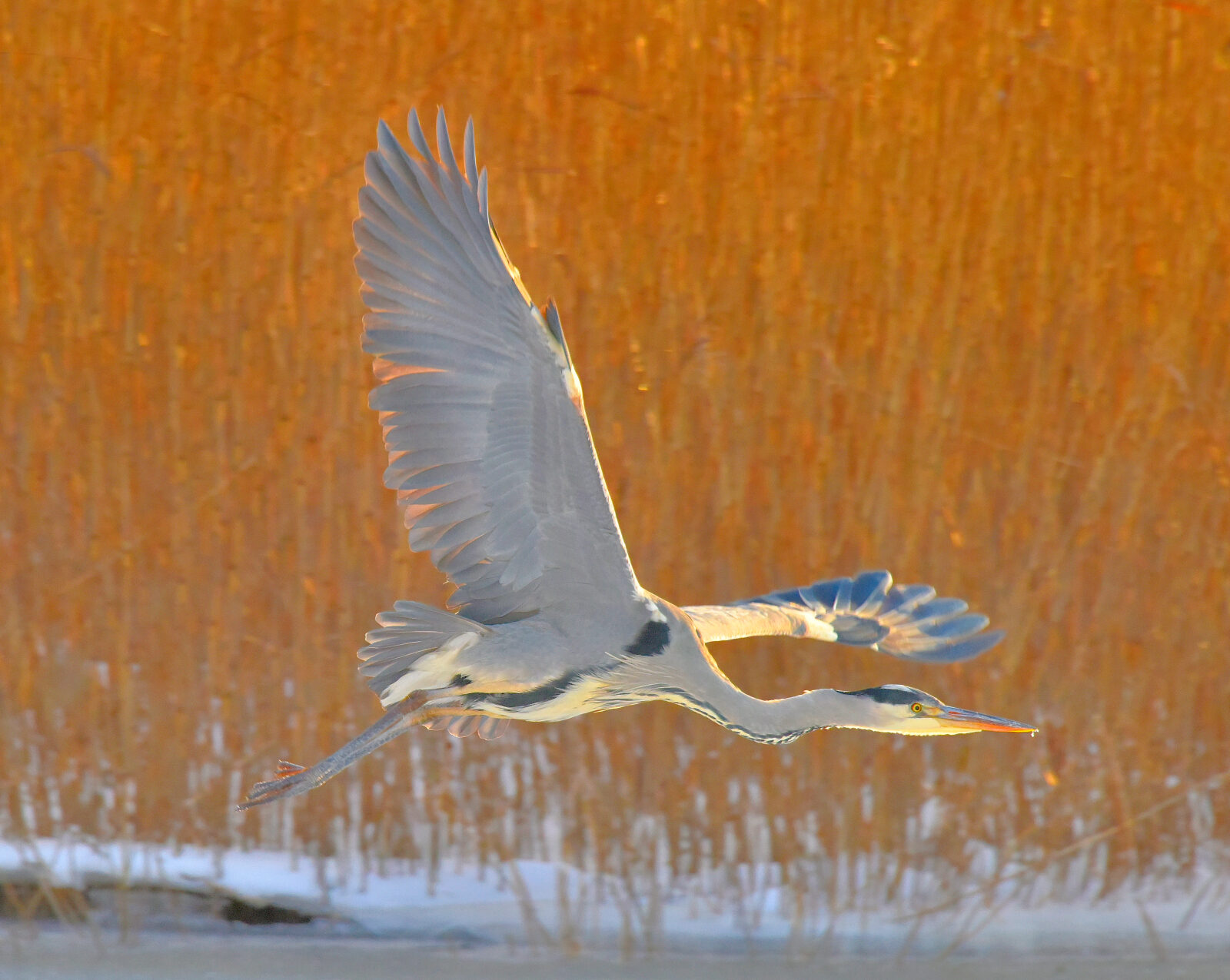 Valokuvaaja: Reijo Juurinen