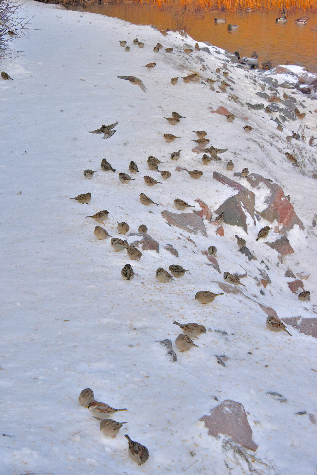 Valokuvaaja: Reijo Juurinen