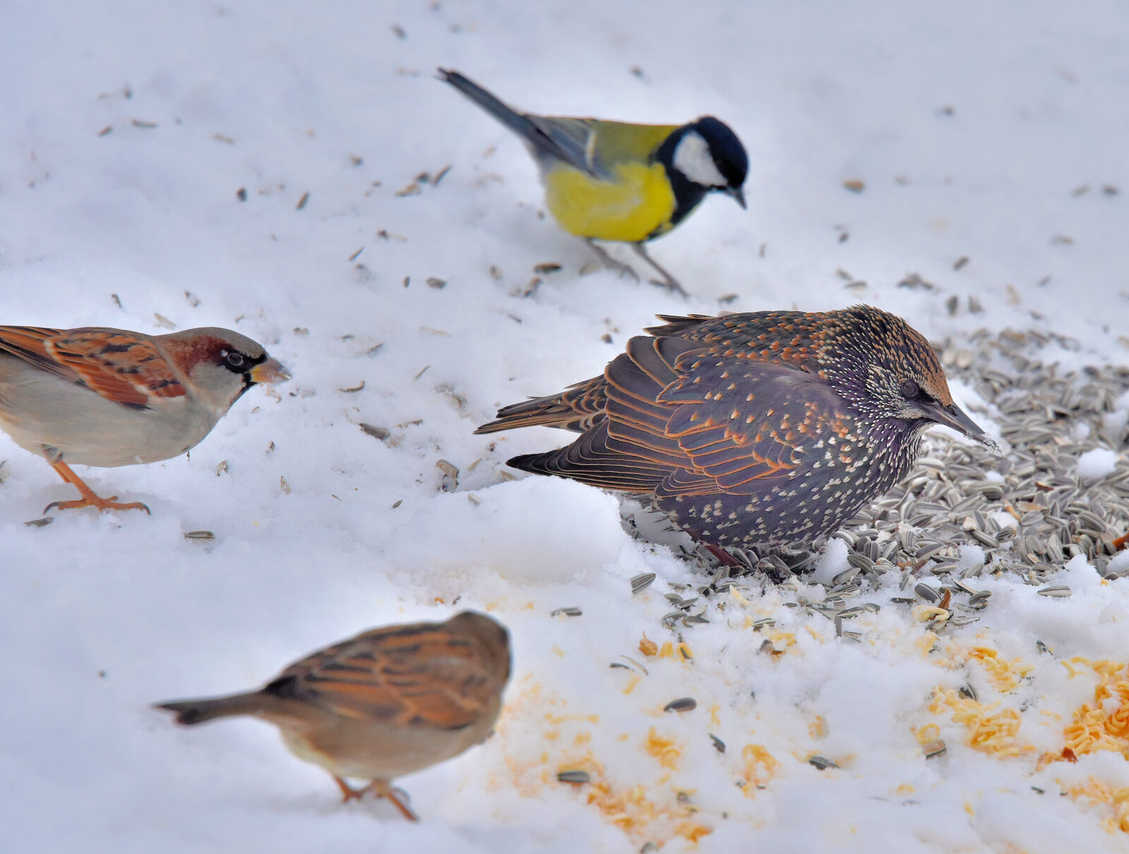 Valokuvaaja: Reijo Juurinen