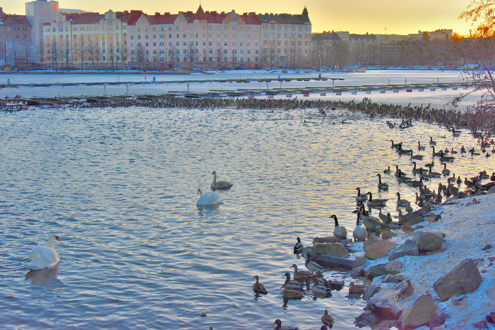 Valokuvaaja: Reijo Juurinen