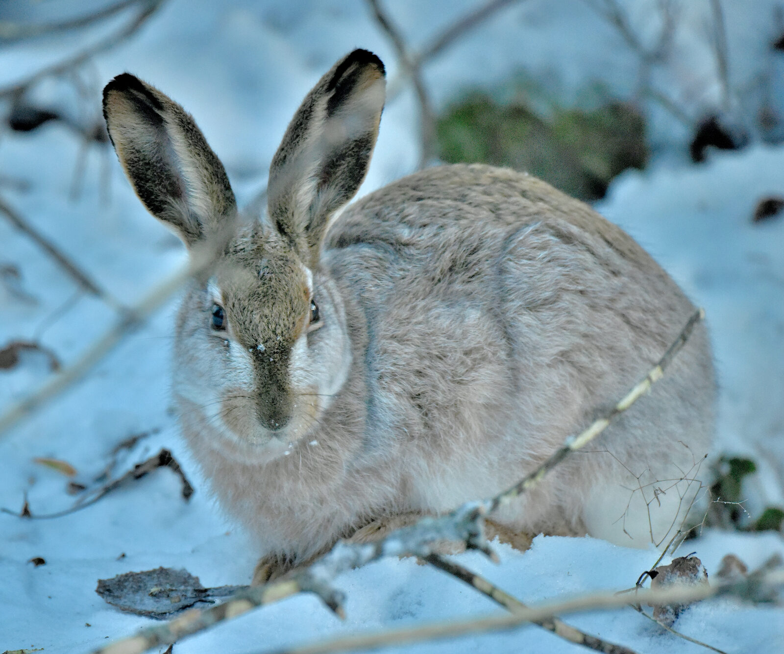 Valokuvaaja: Reijo Juurinen