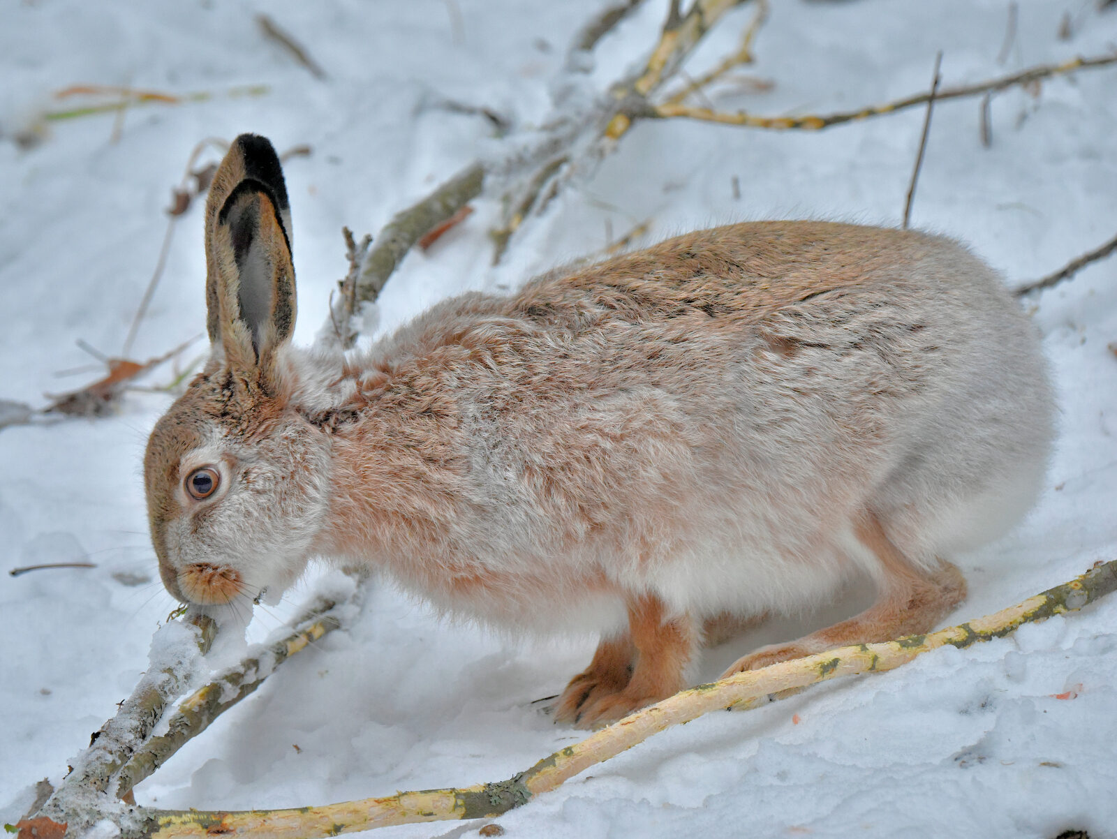 Valokuvaaja: Reijo Juurinen