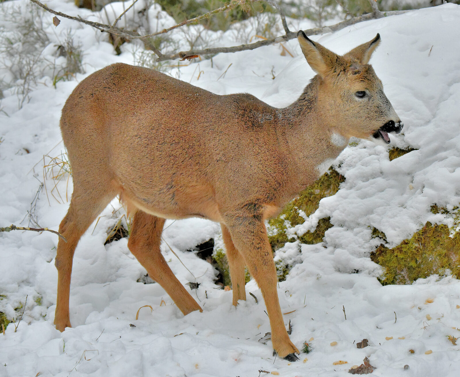 Valokuvaaja: Reijo Juurinen
