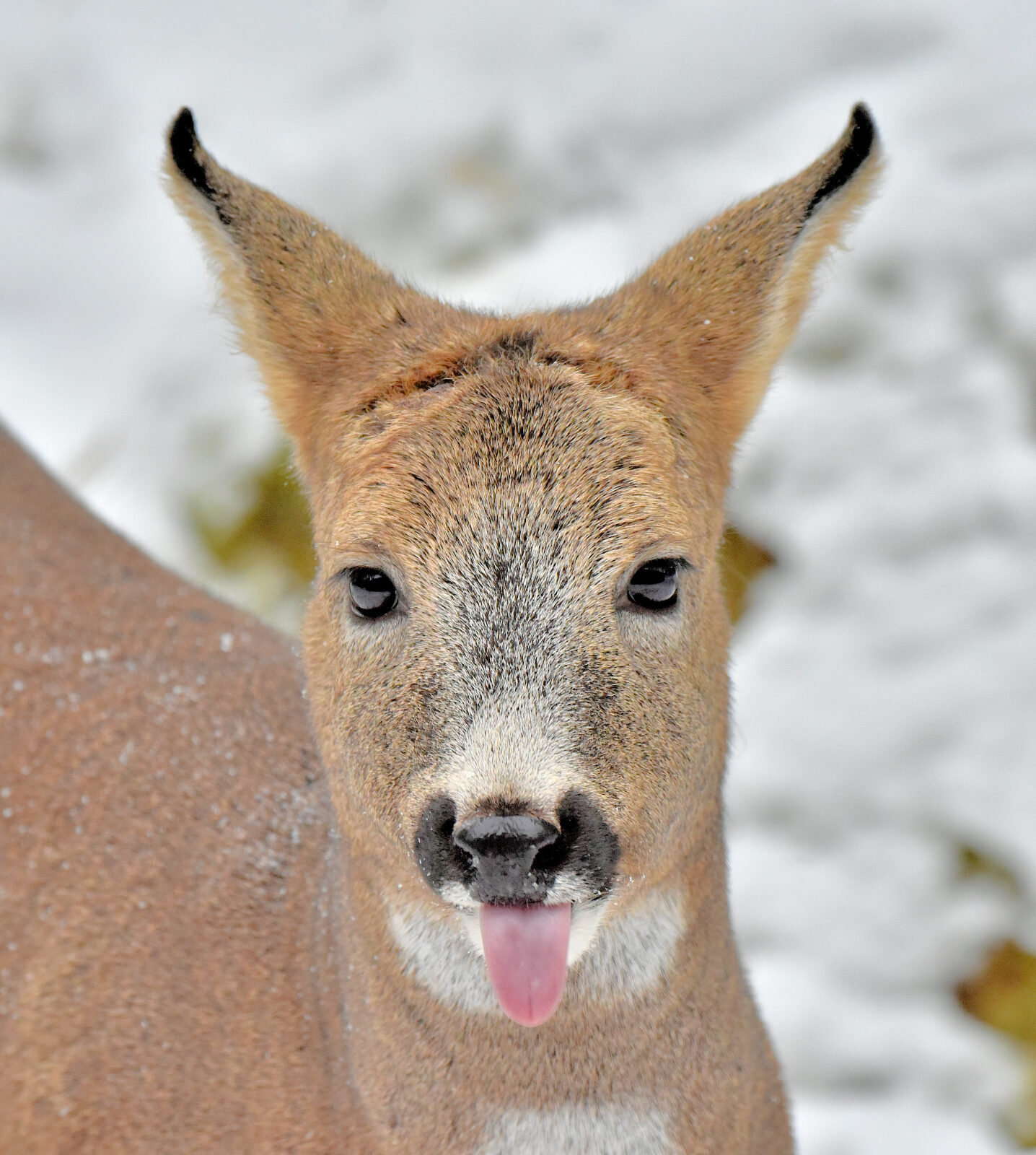 Valokuvaaja: Reijo Juurinen