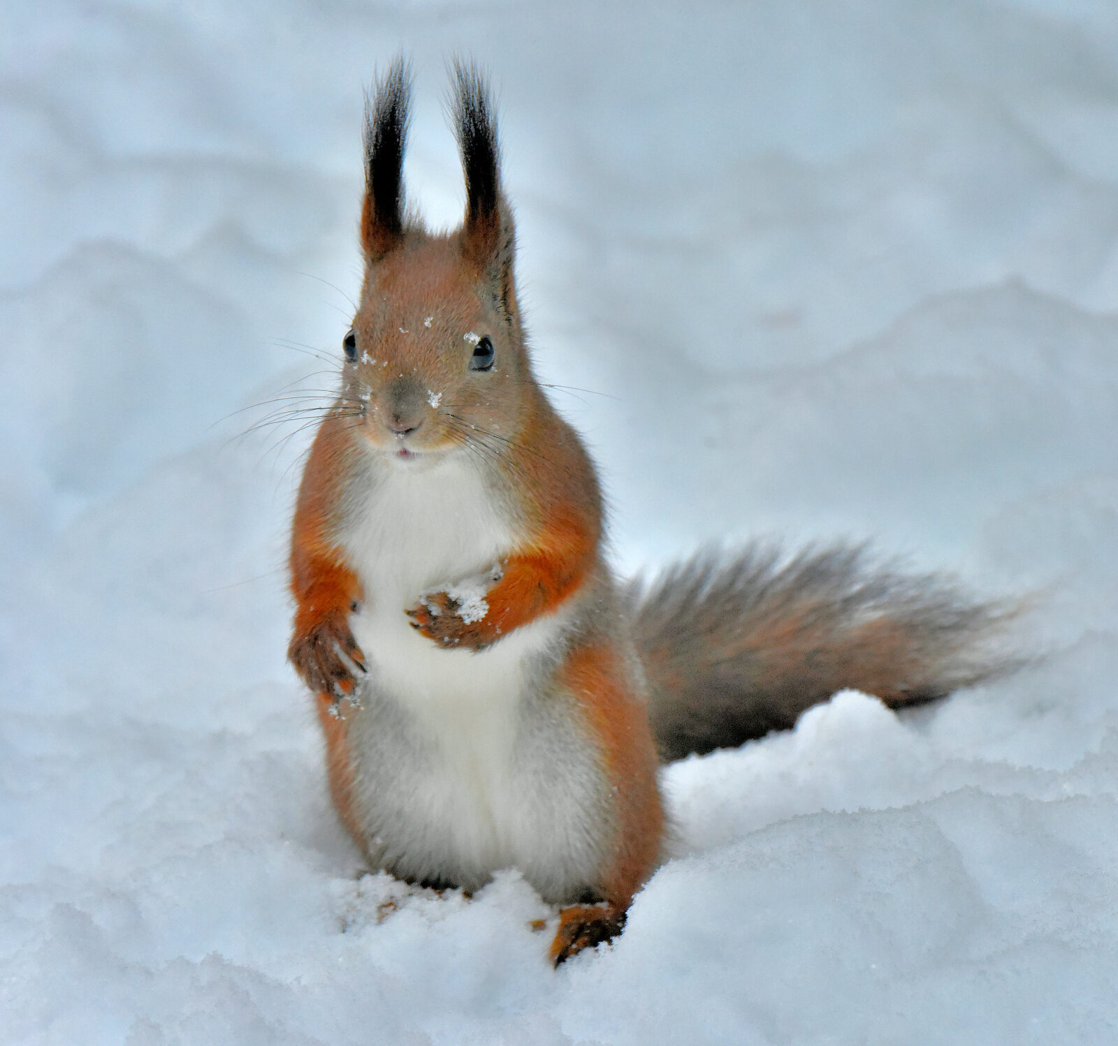 Valokuvaaja: Reijo Juurinen