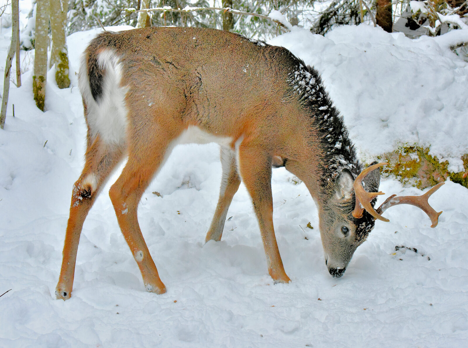 Valokuvaaja: Reijo Juurinen