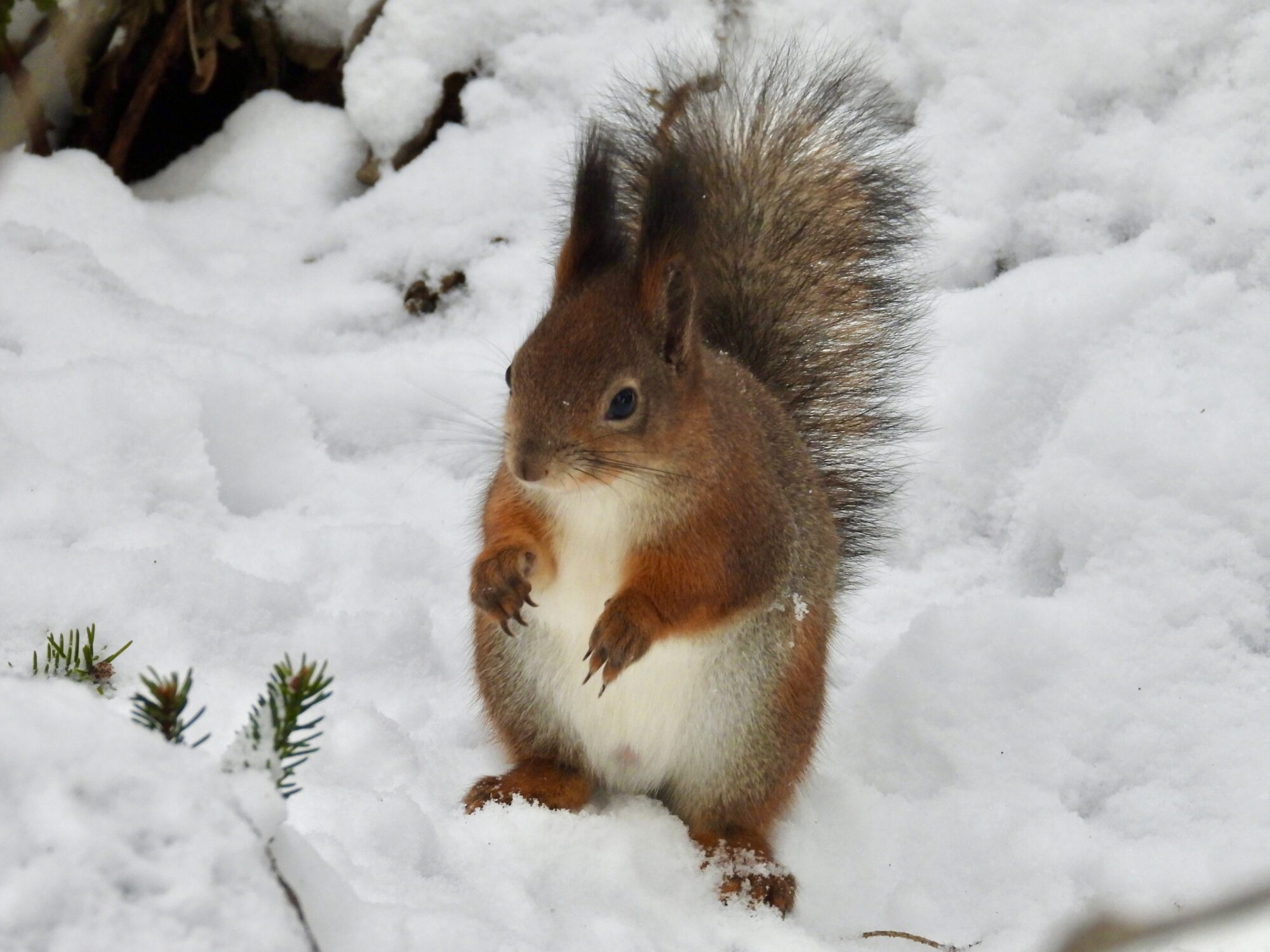 Valokuvaaja: Juhani Peltonen