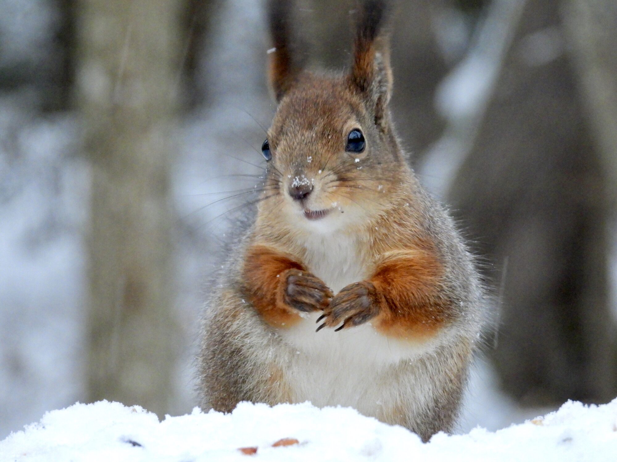 Valokuvaaja: Juhani Peltonen