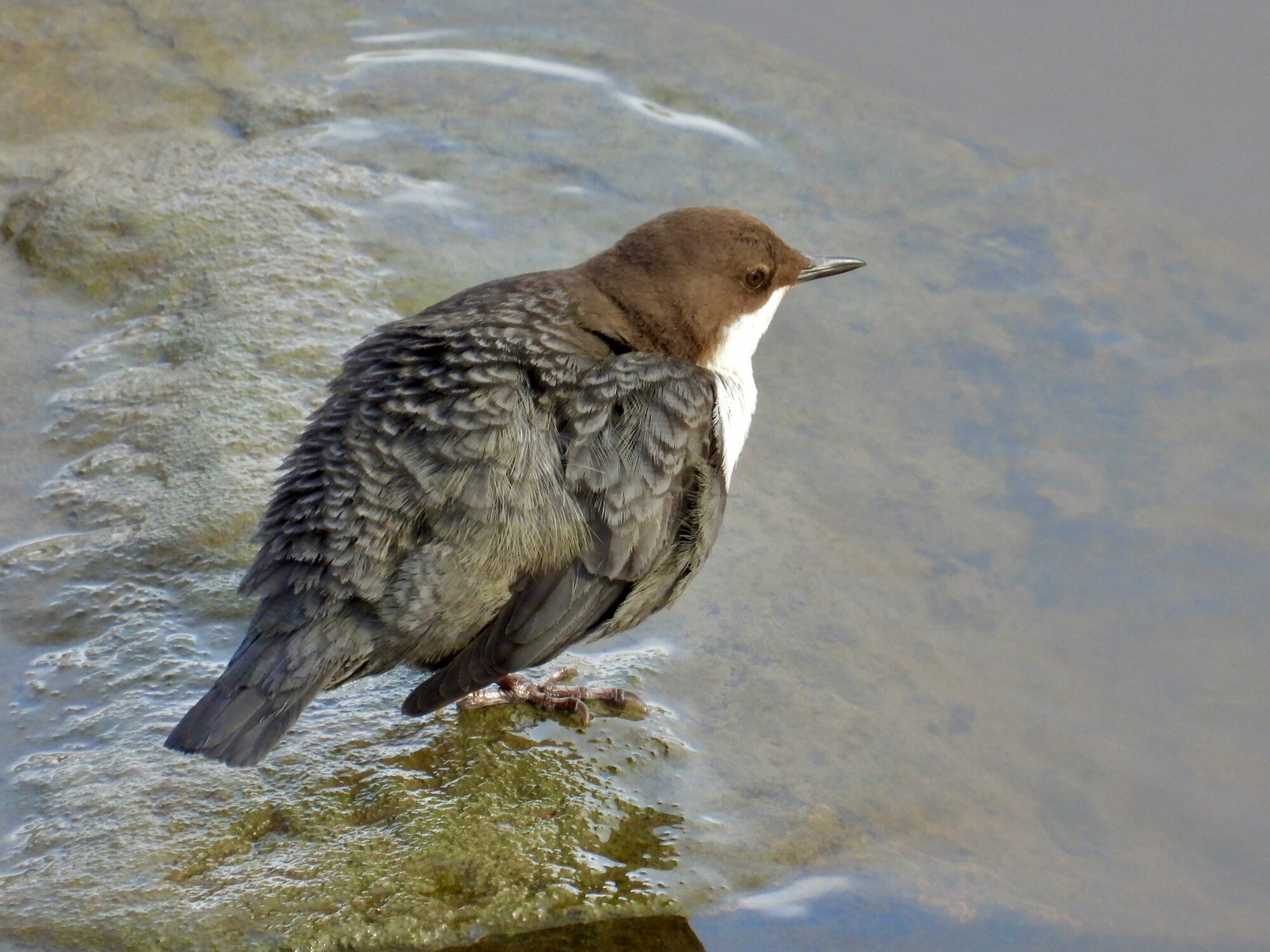 Valokuvaaja: Juhani Peltonen